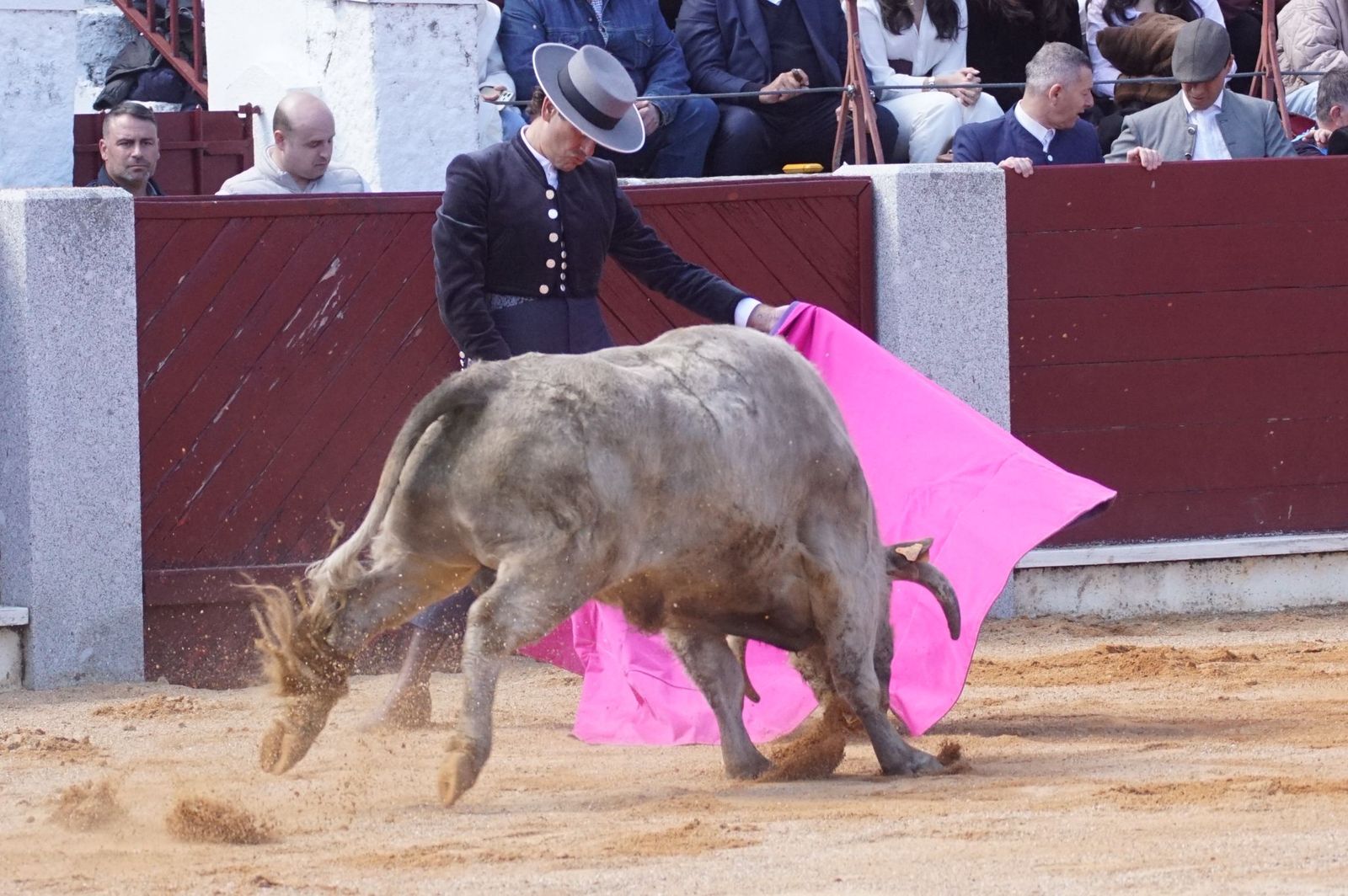 Festival taurino solidario por la esclerosis múltiple en Guijuelo