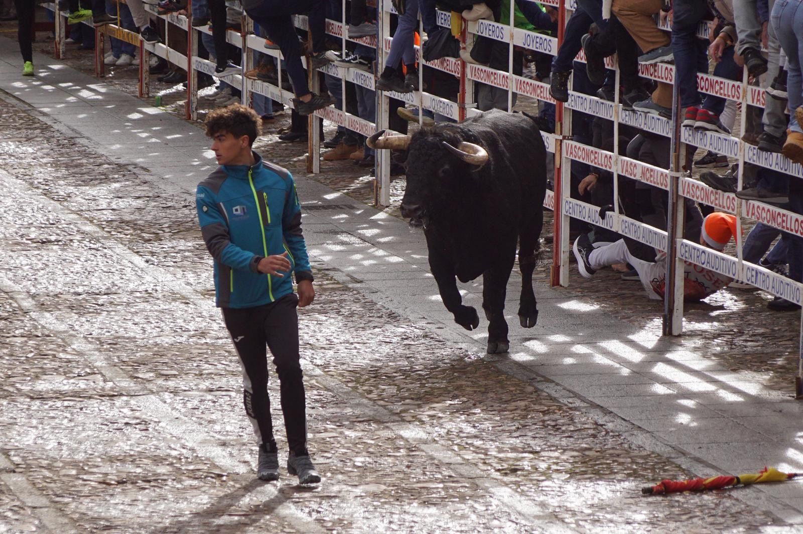 El encierro de Lunes de Carnaval en Ciudad Rodrigo en imágenes