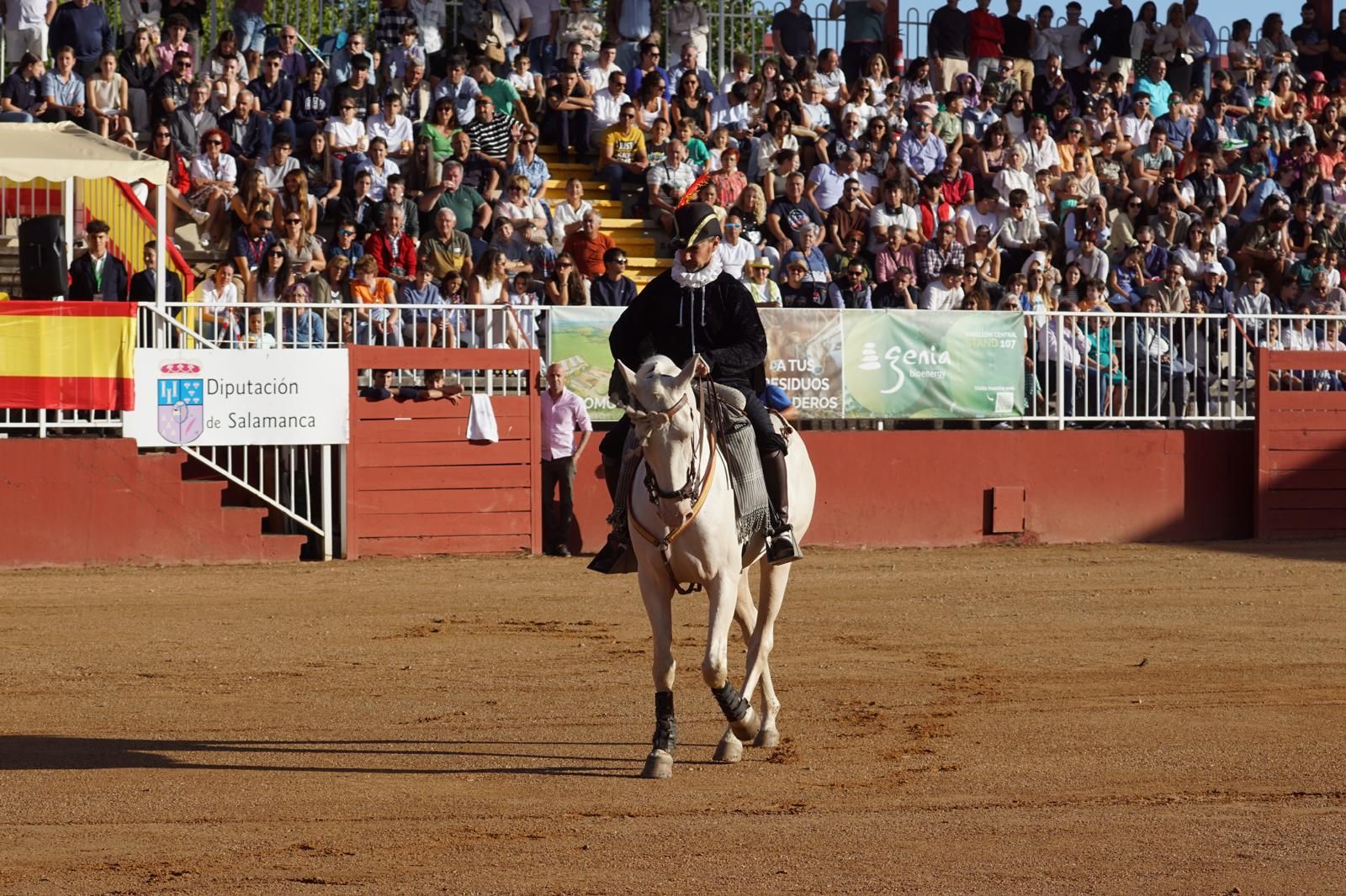 whatsapp-image-2024-09-06-at-20-53-17-4