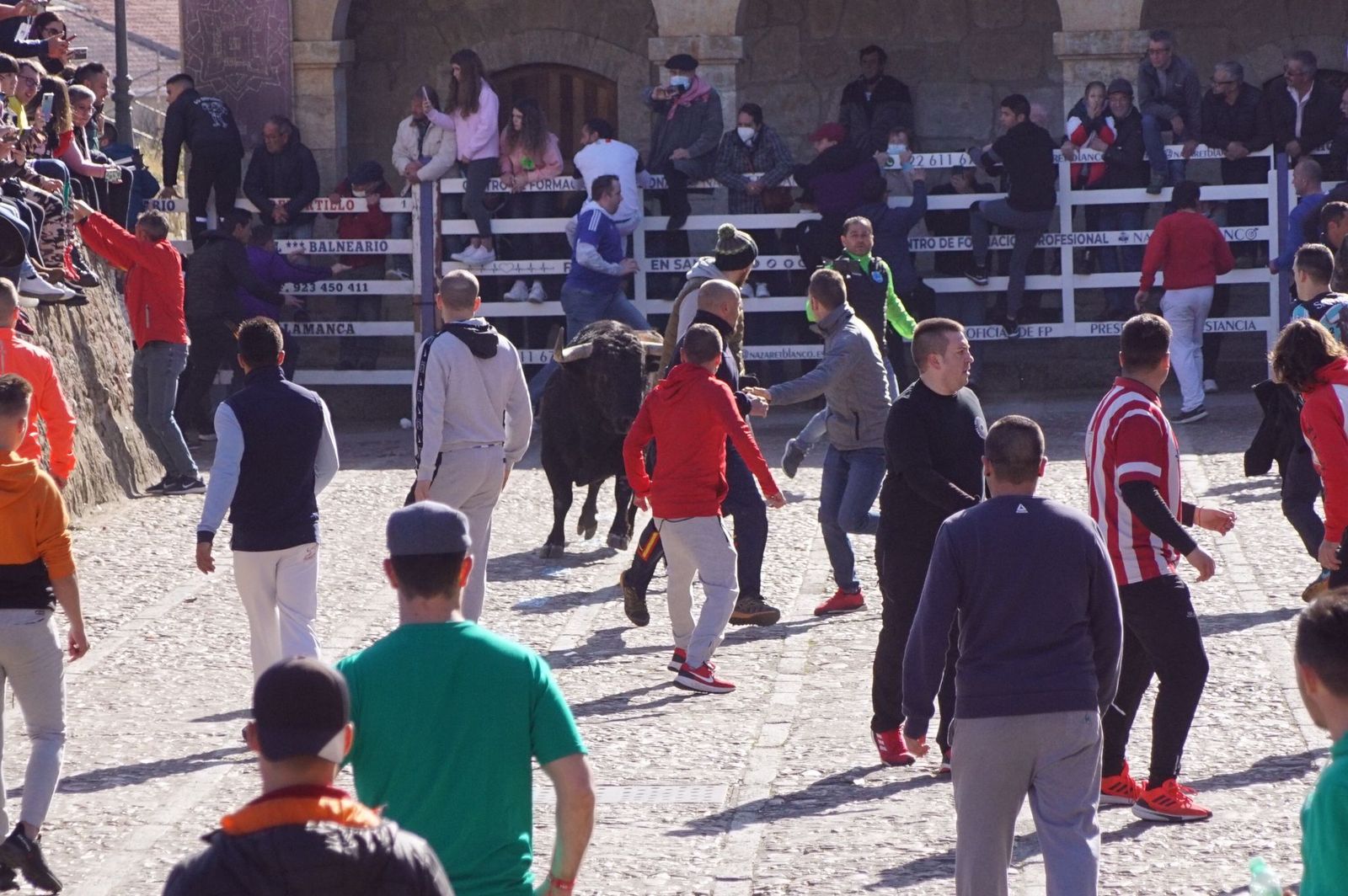 encierro-capea-y-ambiente-en-ciudad-rodrigo-en-este-lunes-de-carnaval-50