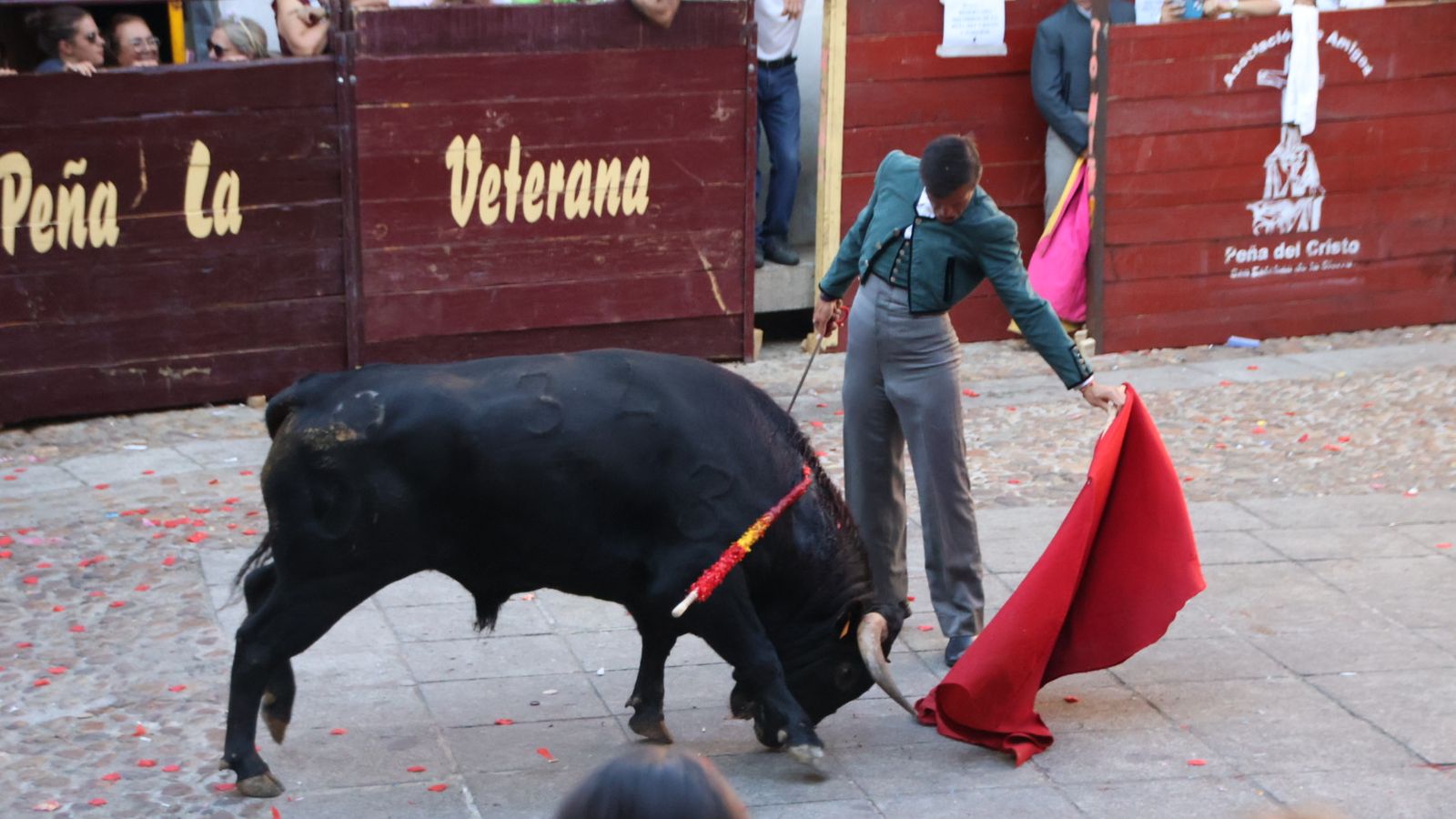 San Esteban de la Sierra, festival taurino sin picadores