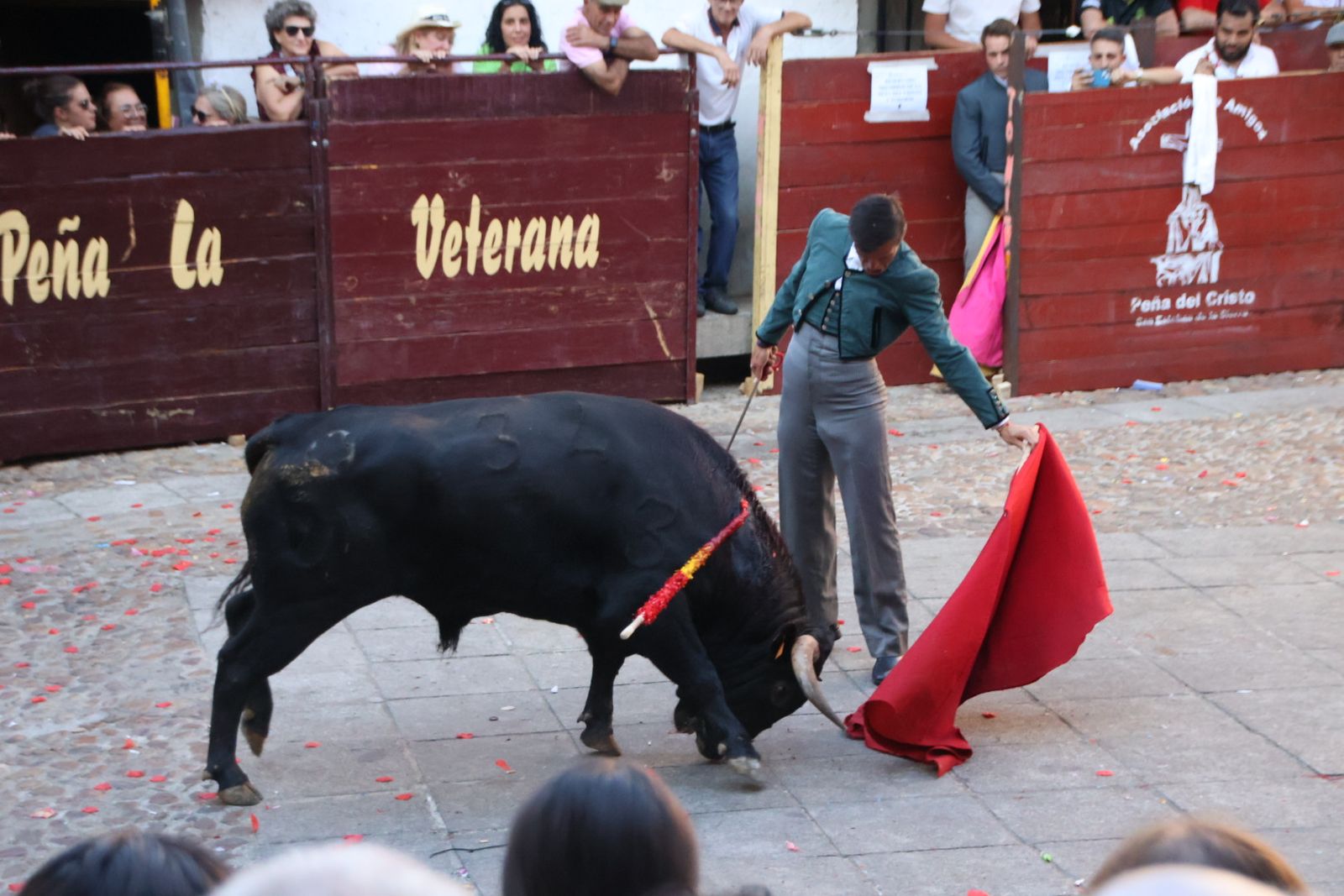 San Esteban de la Sierra, festival taurino sin picadores
