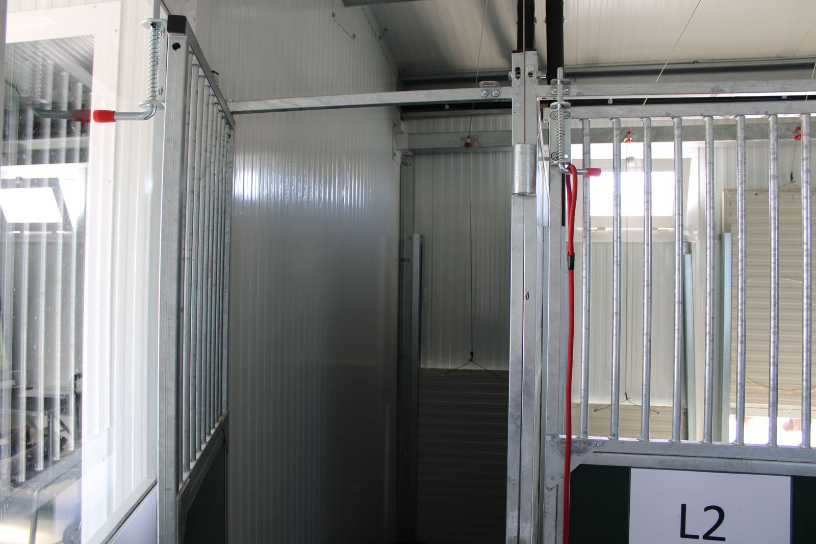 refugio-de-animales-del-ayuntamiento-de-salamanca-53