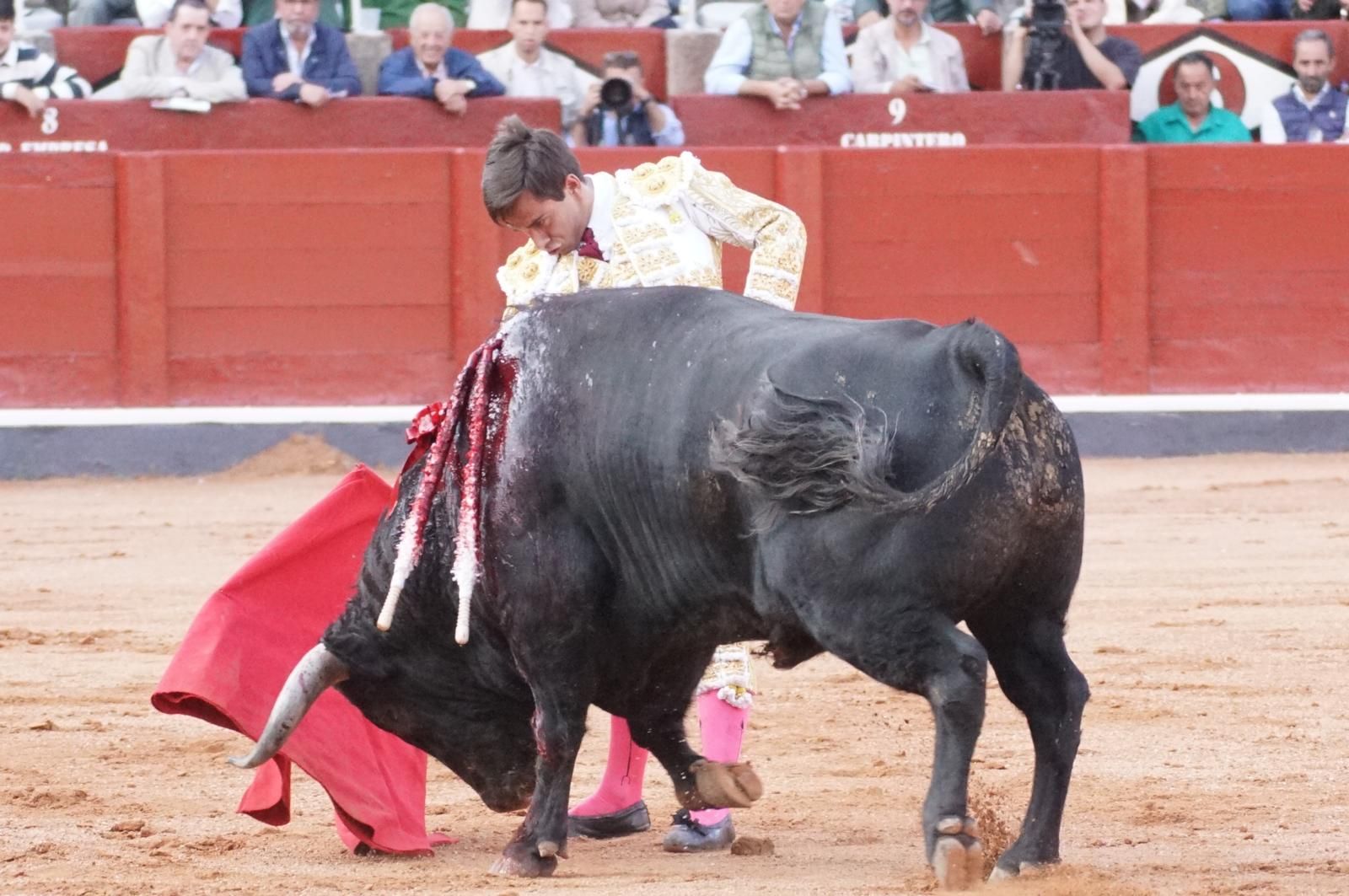 corrida-concurso-momentos-mas-destacados-del-ultimo-festejo-de-abono-de-la-feria-taurina-virgen-de-la-vega-2024-fotos-carlos-h-g-y-juanes-10