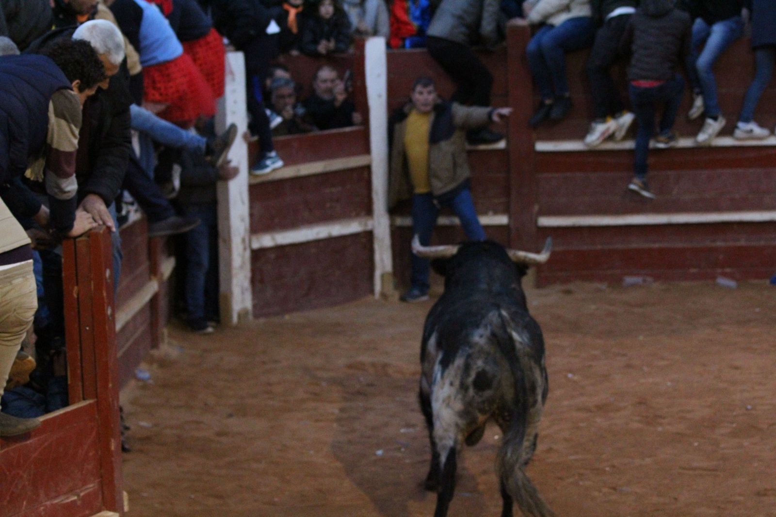capea-de-ciudad-rodrigo-32