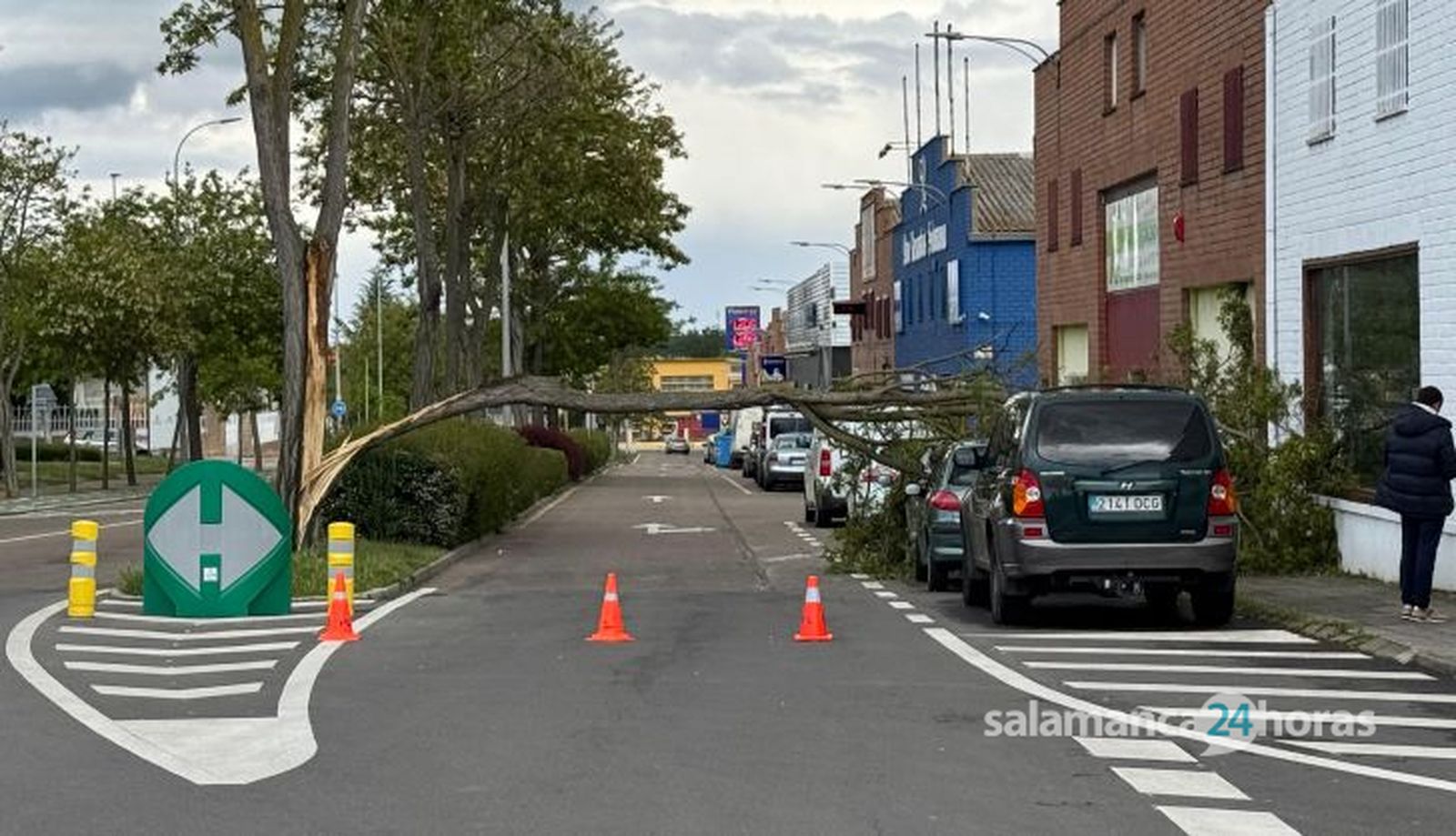 Una rama de un árbol de gran tamaño cae sobre unos vehículos aparcados y corta un tramo de la avenida de La Aldehuela. Foto Belén Hurtado