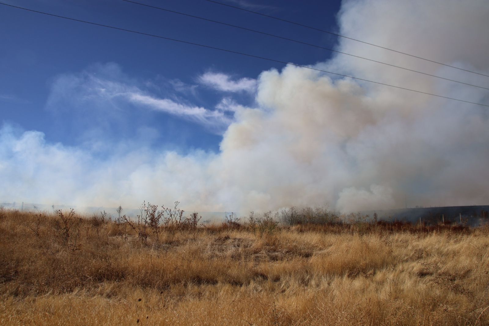 Incendio de rastrojos en la carretera de Matilla de los Caños