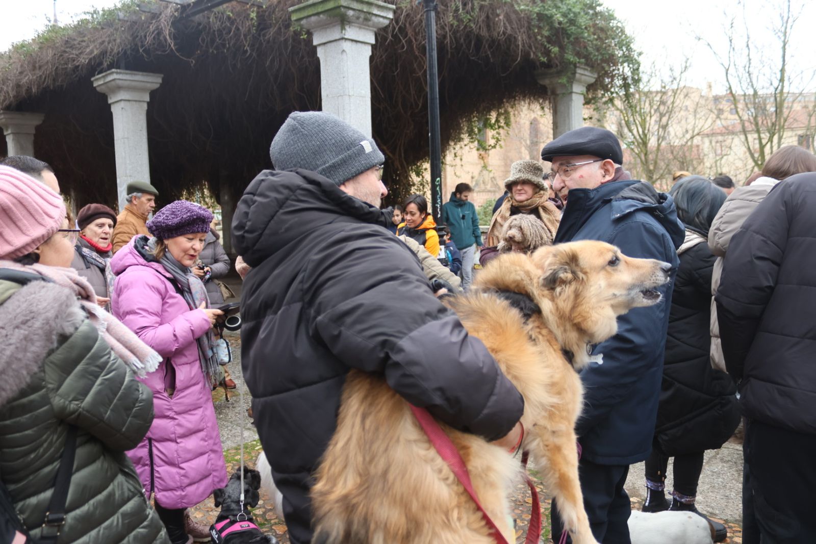 Bendición de los animales por San Antón en el Campo de San Francisco