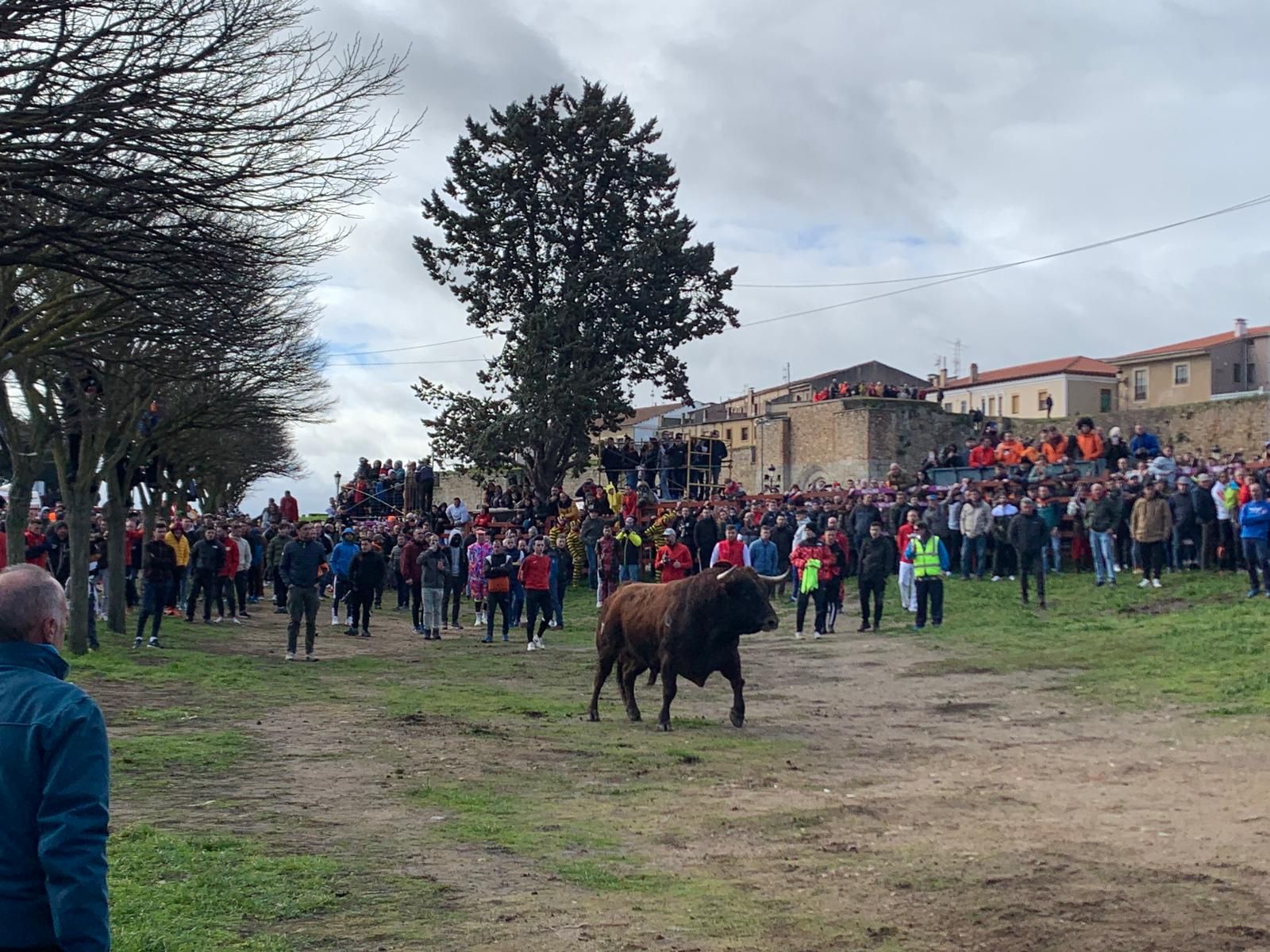 whatsapp-image-2024-02-10-at-11-36-11-1