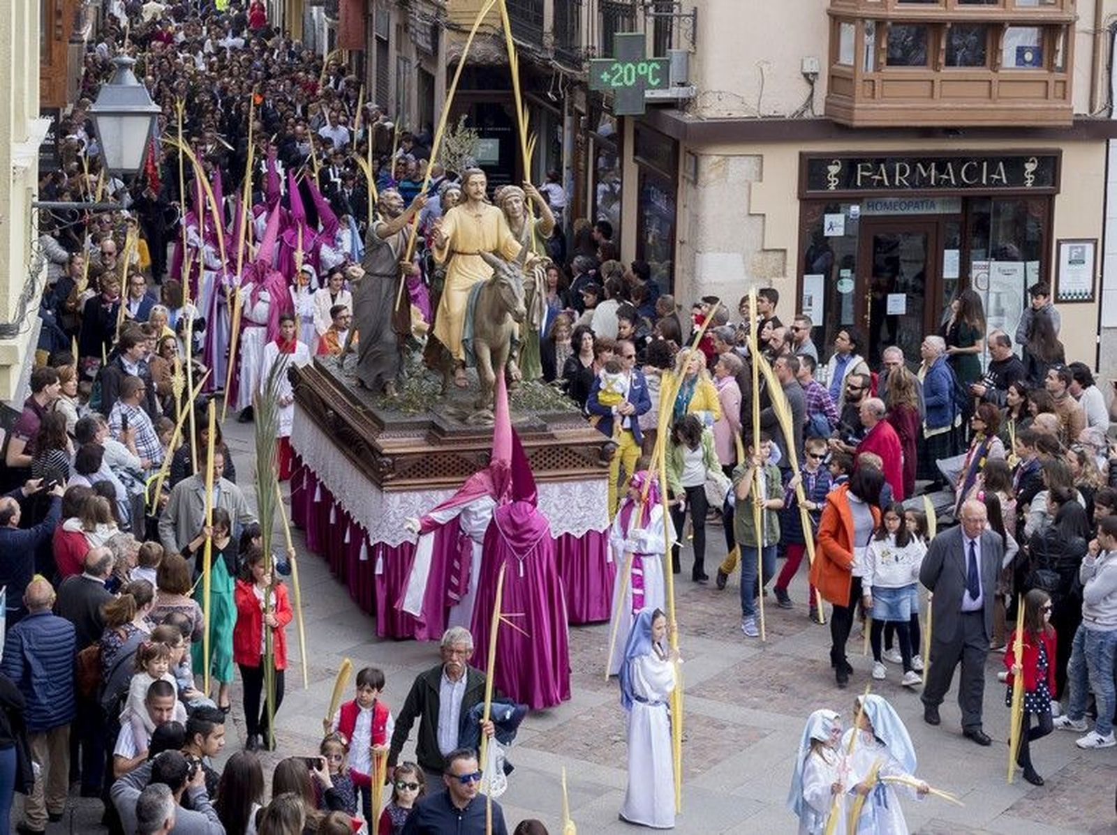 Domingo de Ramos Borriquita 19 (28)