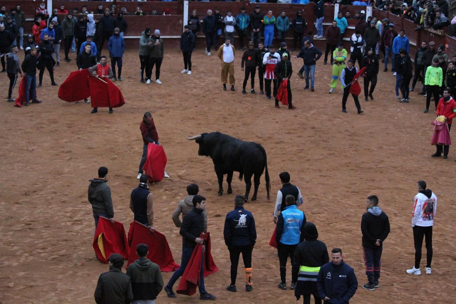 ambiente-y-capea-vespertina-sabado-de-carnaval-en-ciudad-rodrigo-2025-fotos-belen-hurtado-9