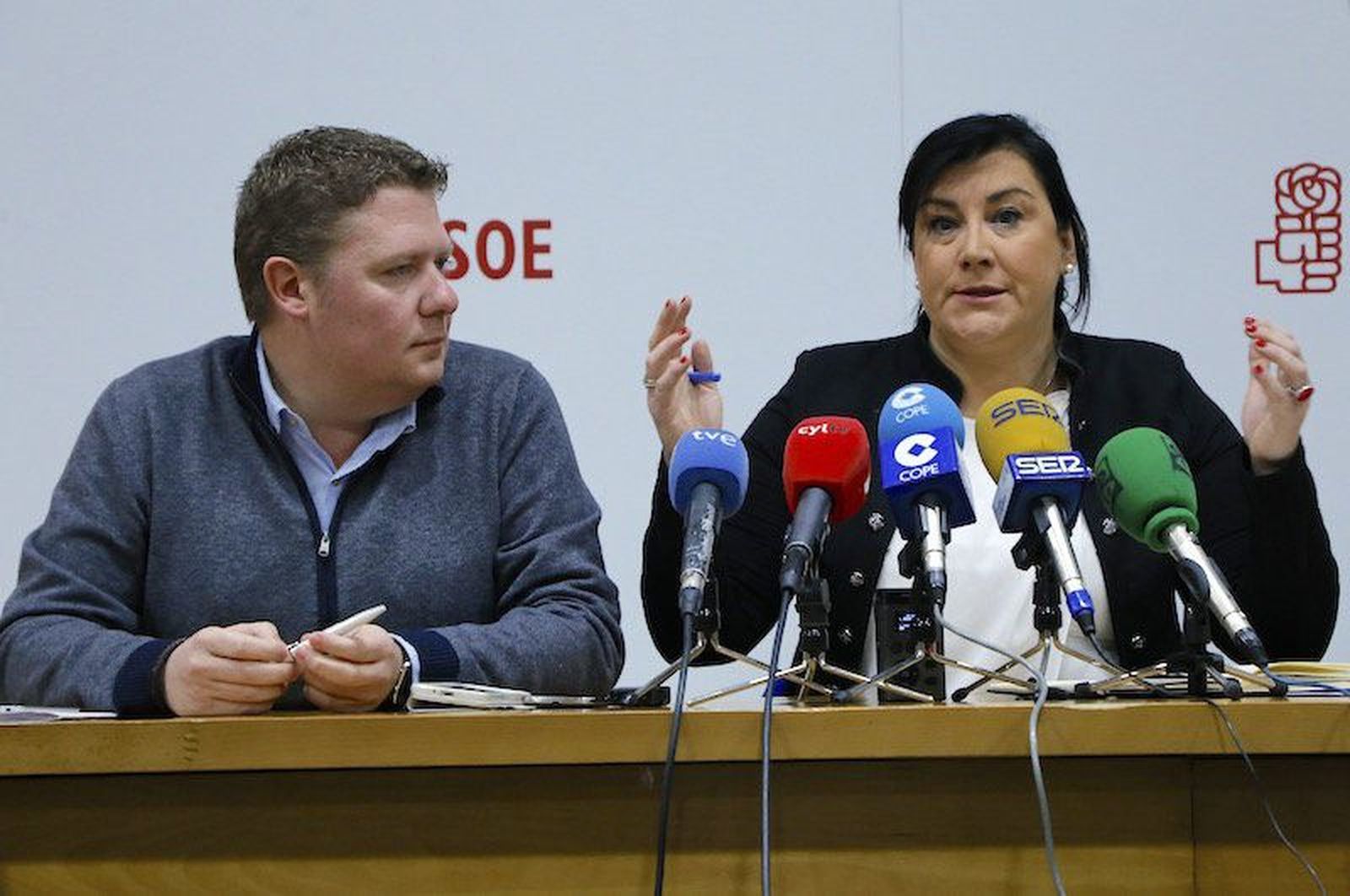 El PSOE propone la creación de una estrategia para Zamora similar al Plan Soria