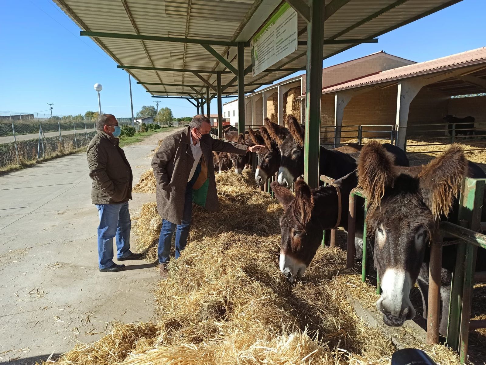 WhatsApp Image 2020 10 15 at 11.30.52