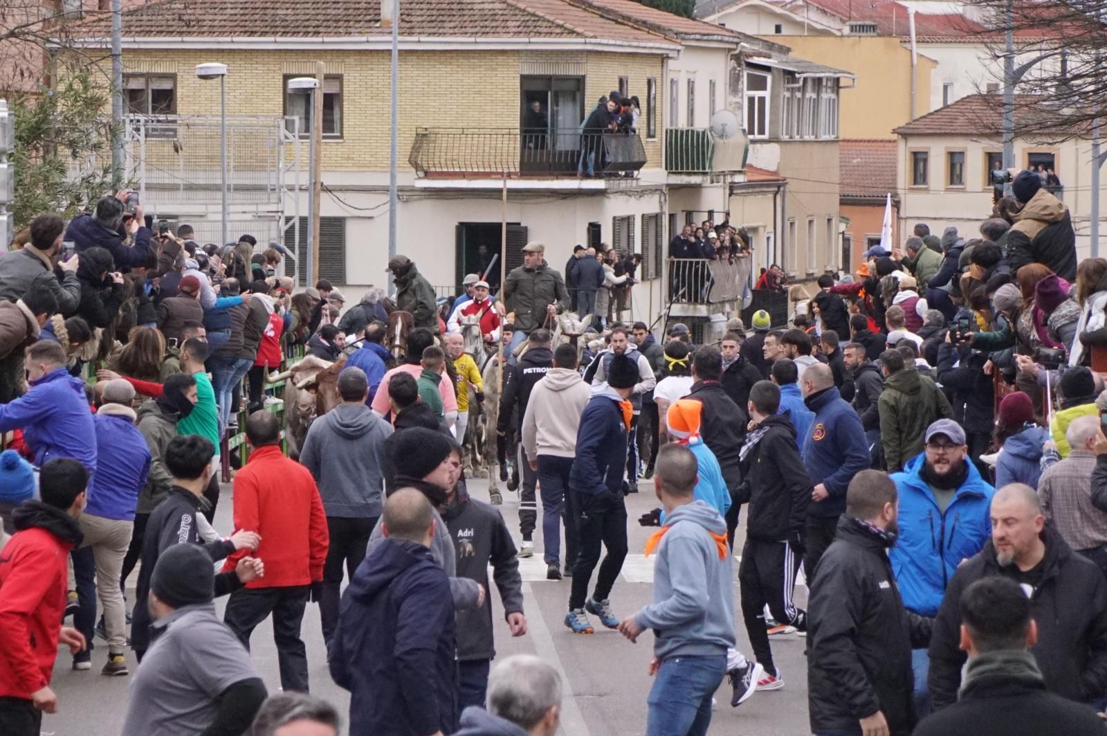 Encierro a Caballo en el Carnaval del Toro 2026 de Ciudad Rodrigo