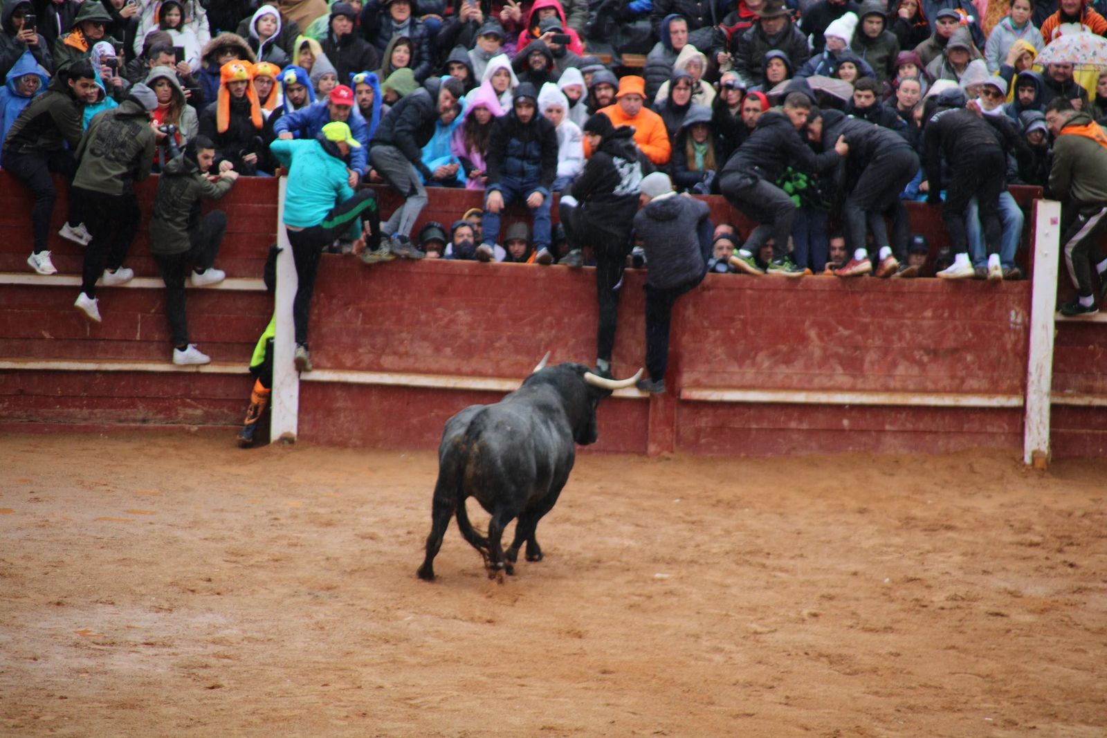 whatsapp-image-2025-03-03-at-12-46-44