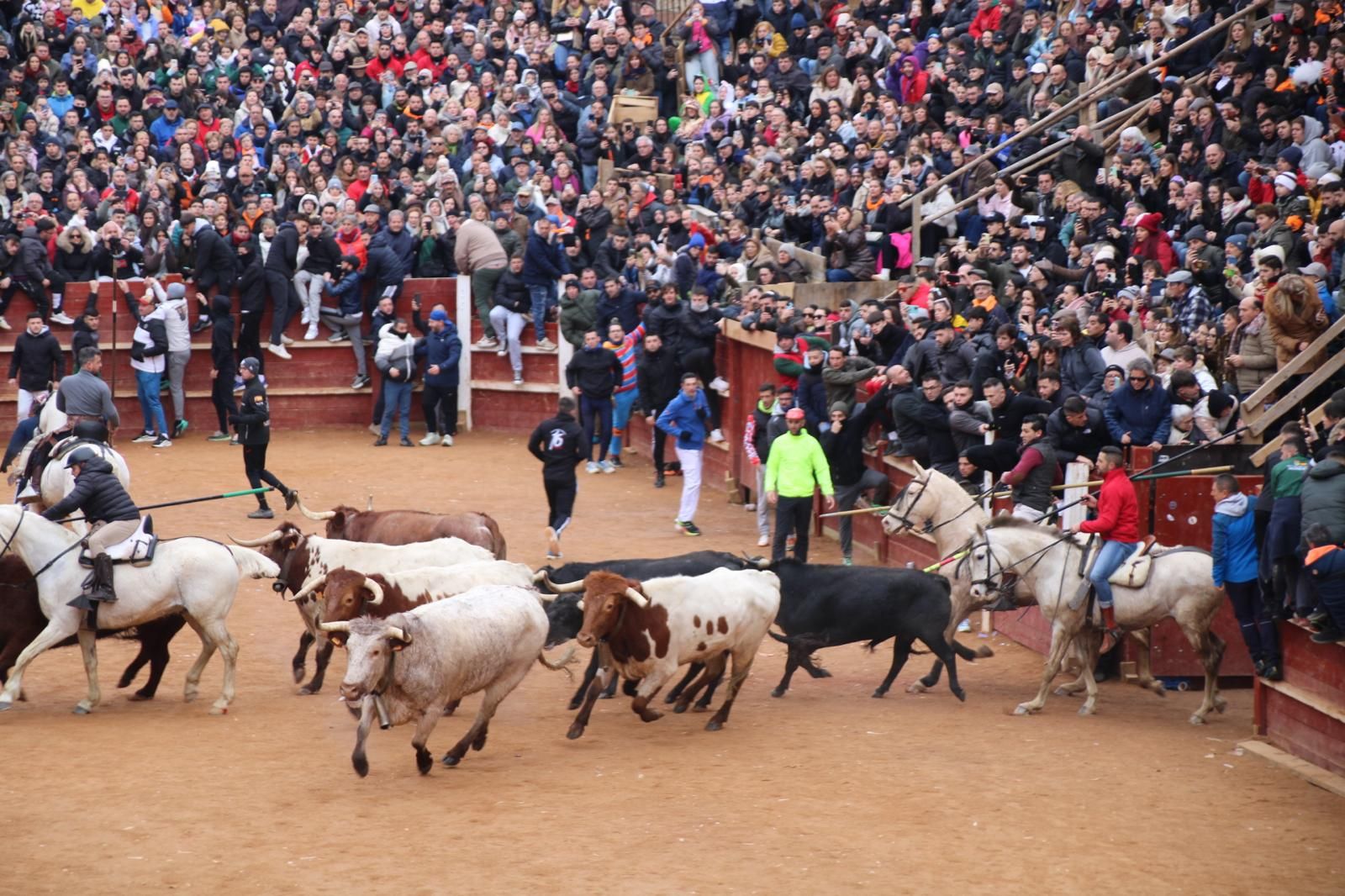Encierro a Caballo en el Carnaval del Toro 2026 de Ciudad Rodrigo