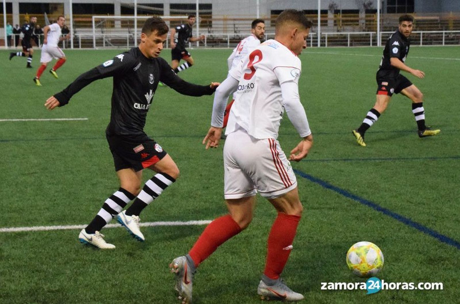 Ragusa zamora bupolsa