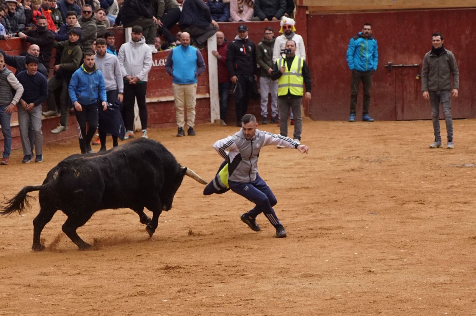 Destacados saltos, quiebros y toreo de capa en la capea del Lunes de Carnaval en Ciudad Rodrigo