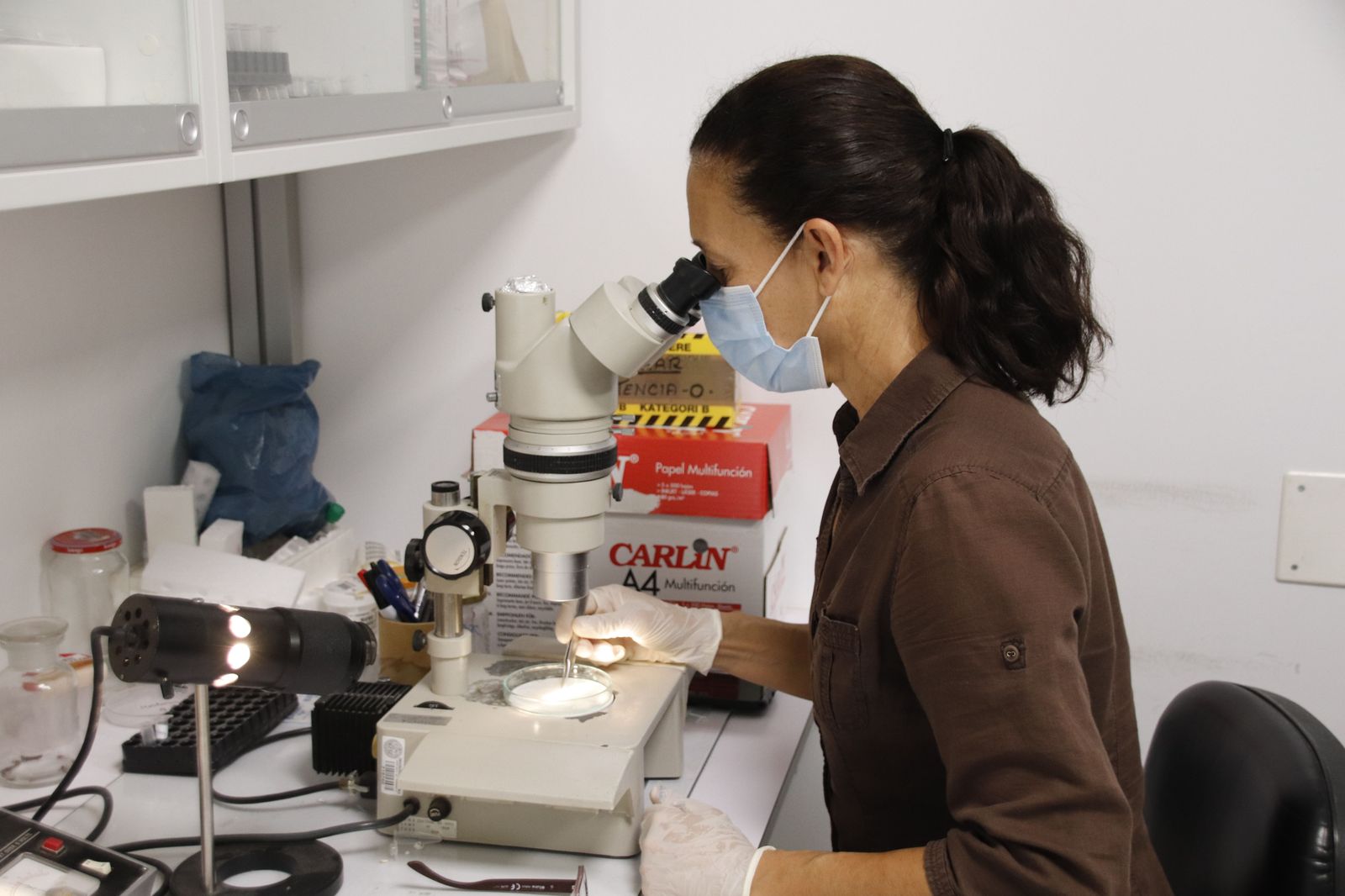 Carmen Vieira, encargada del programa de Control y Prevención de Antropozoonosis transmitidas por garrapatas