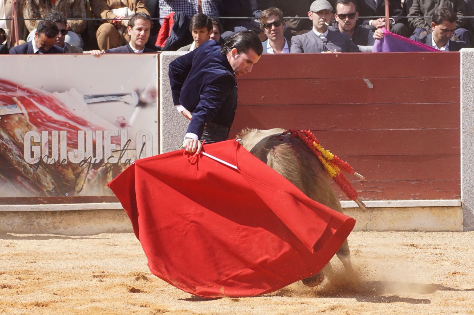 Festival taurino solidario por la esclerosis múltiple en Guijuelo