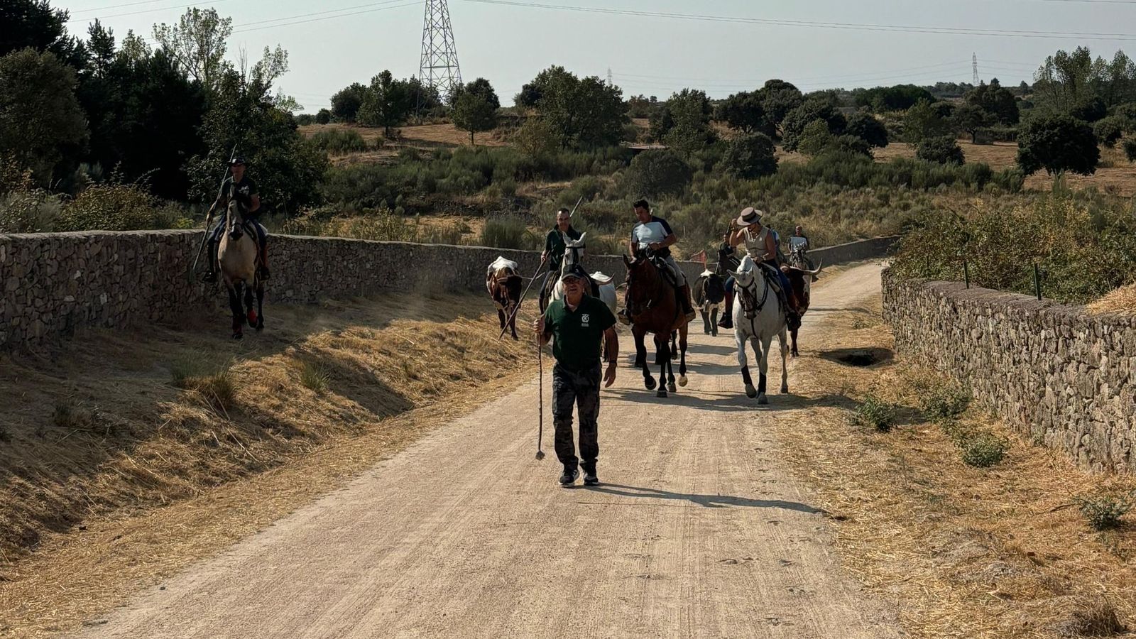 Encierro de bueyes, mini bueyes y parque de hinchables en Aldeadávila de la Ribera por San Bartolo 2025
