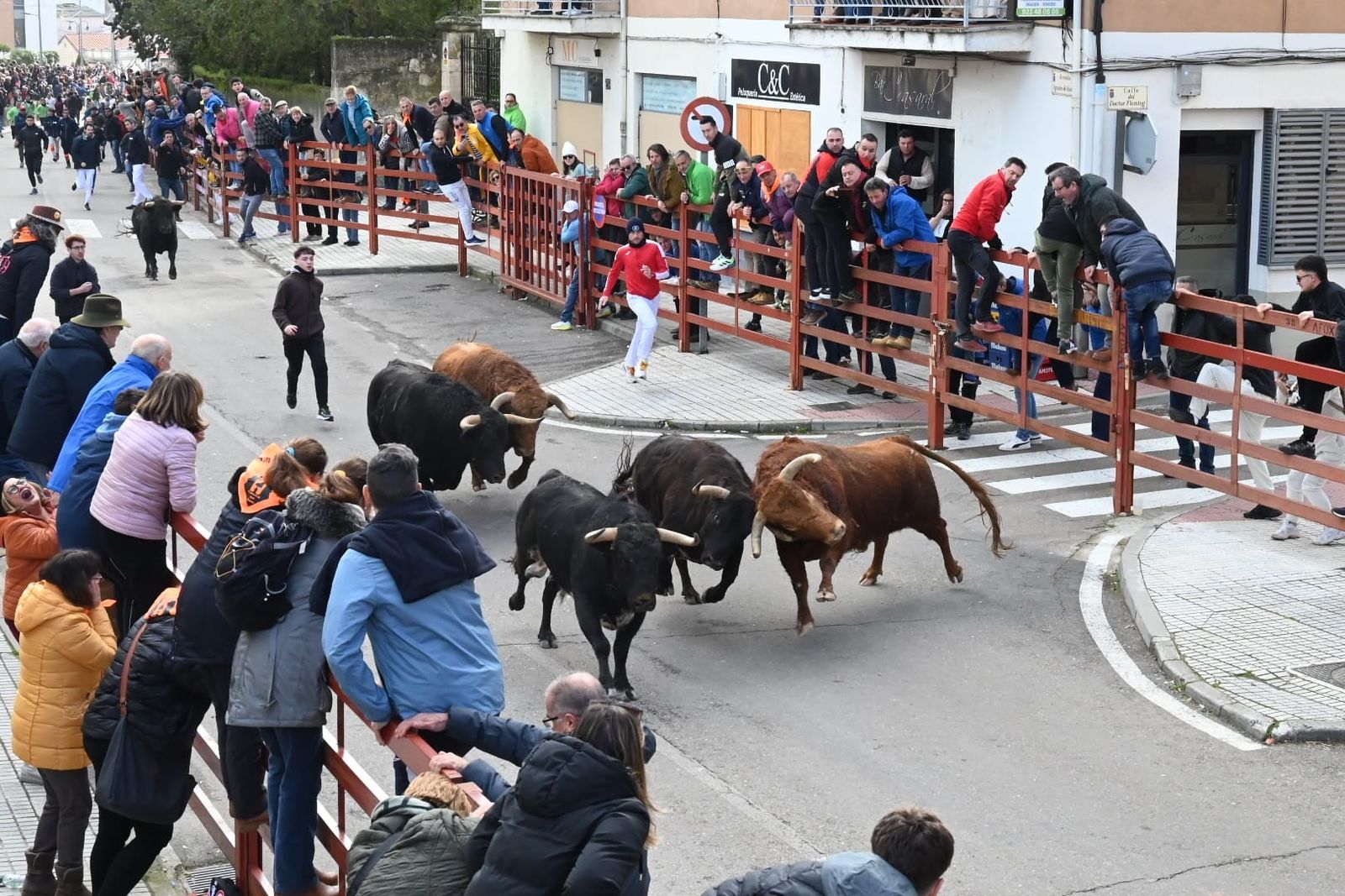 Toro más bravo Carnaval 2026