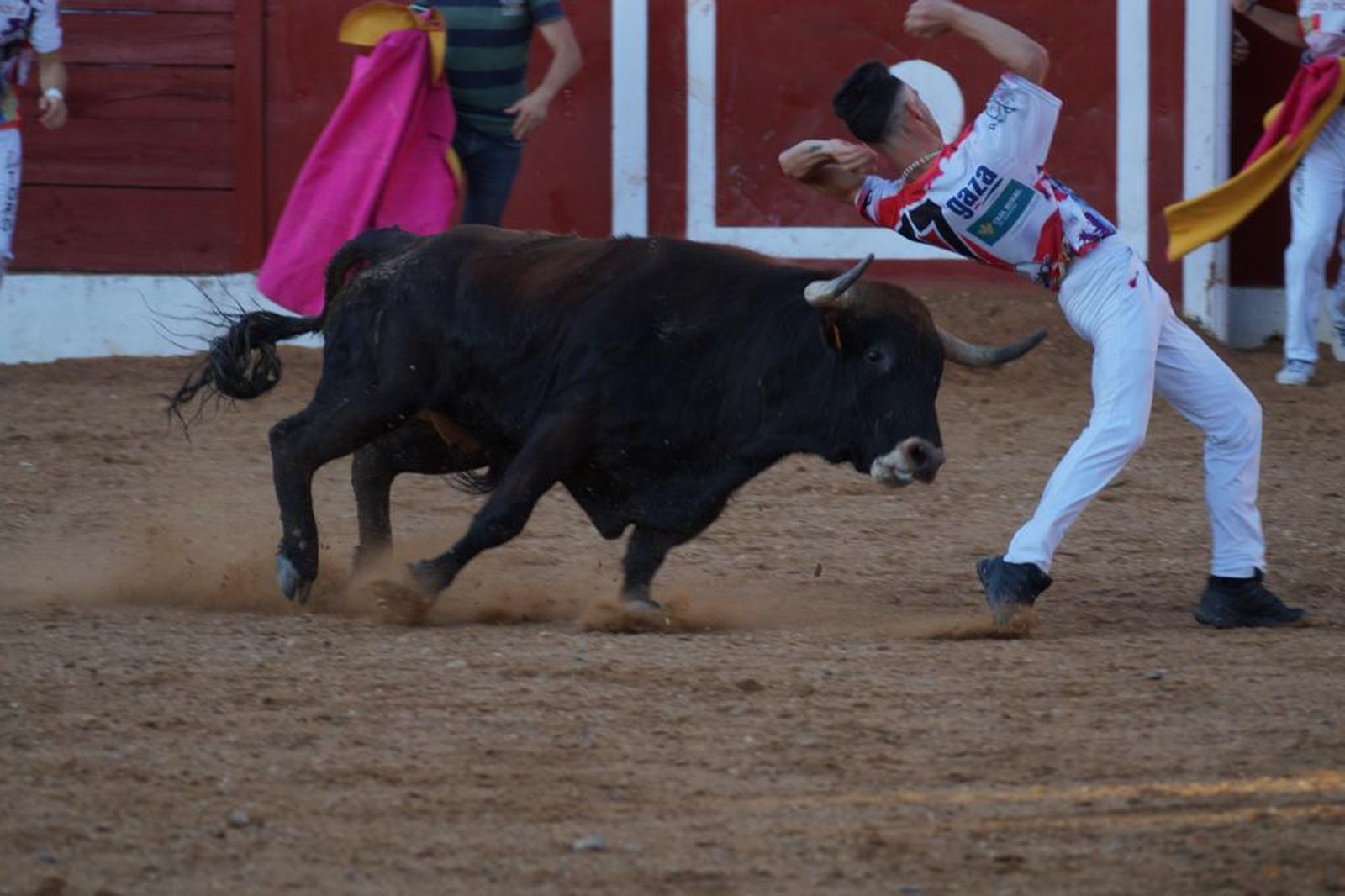 whatsapp-image-2021-07-03-at-21-51-45