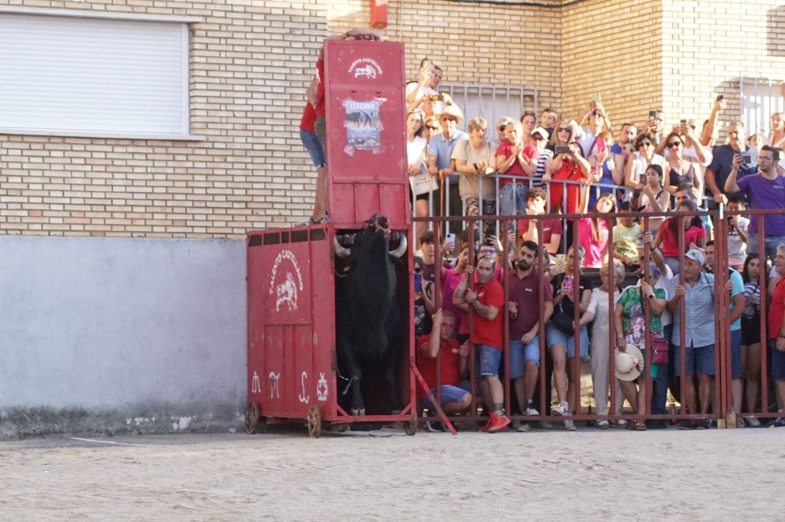 whatsapp-image-2024-08-04-at-21-09-57-1