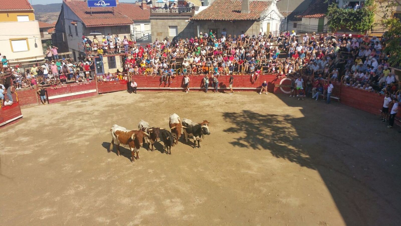 Fiestas Villarino de los Aires: Encierro viernes