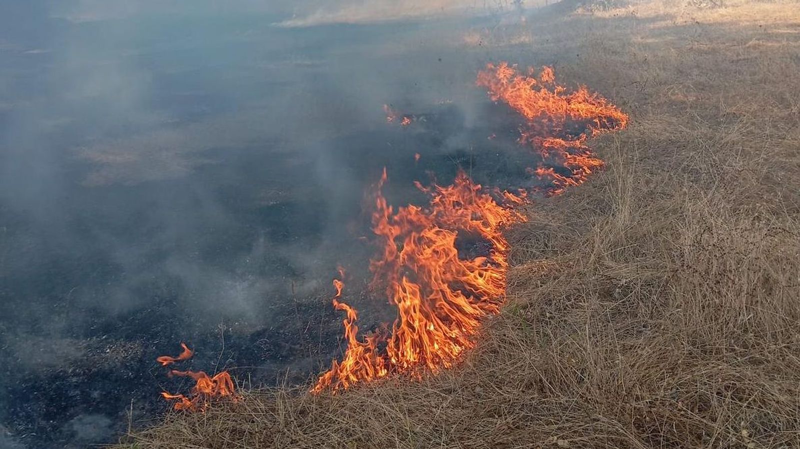 Incendio forestal declarado en Gallegos de Argañán moviliza a decenas de medios de extinción