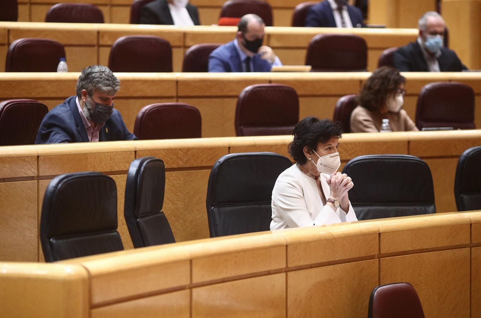 La ministra de Educación, Isabel Celaá, en una sesión plenaria en el Senado. | EP