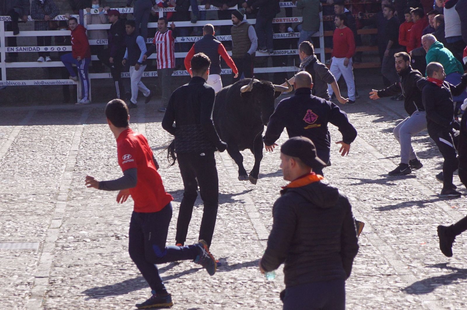 encierro-capea-y-ambiente-en-ciudad-rodrigo-en-este-lunes-de-carnaval-38