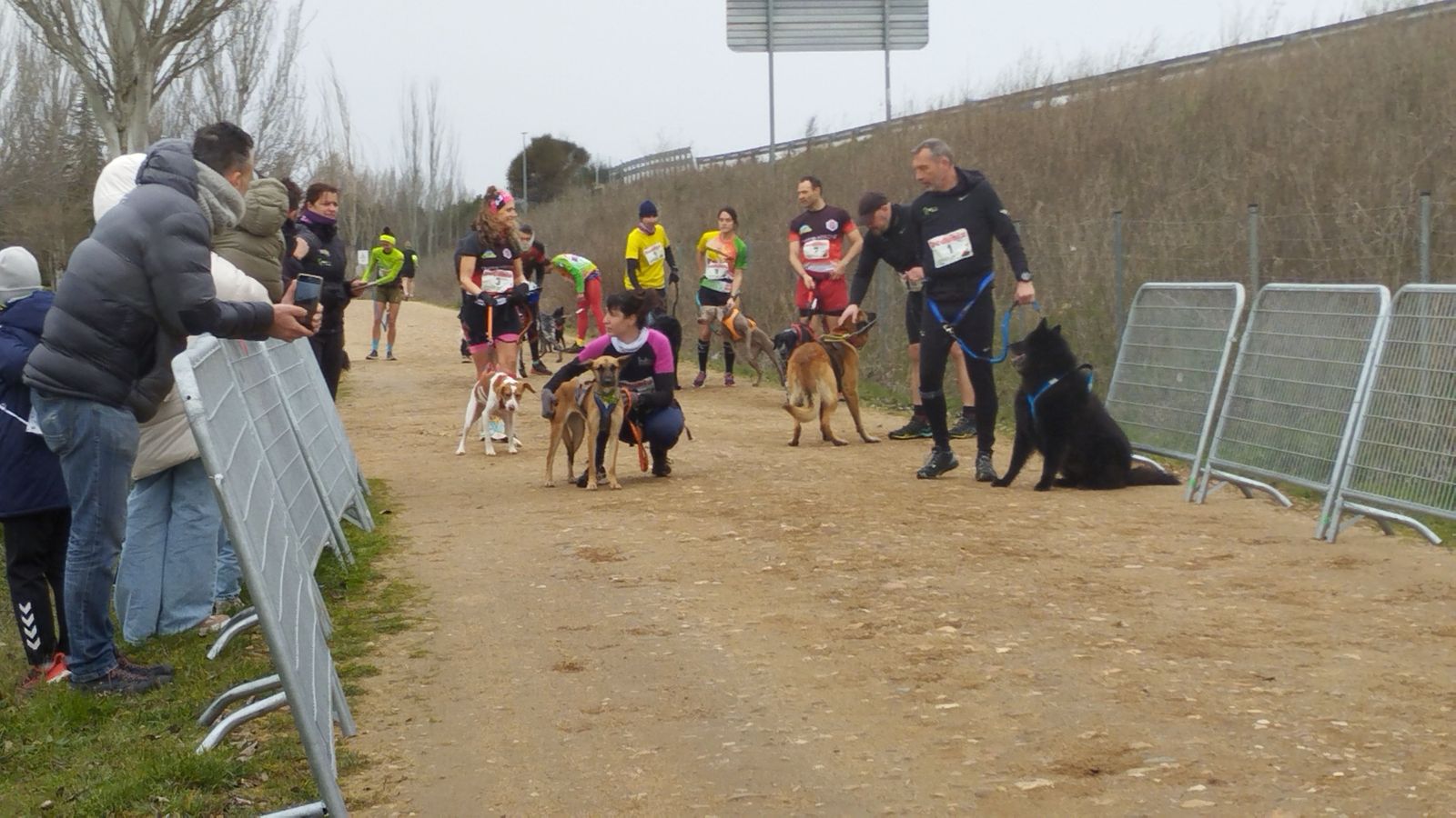 Canicross Santa Marta