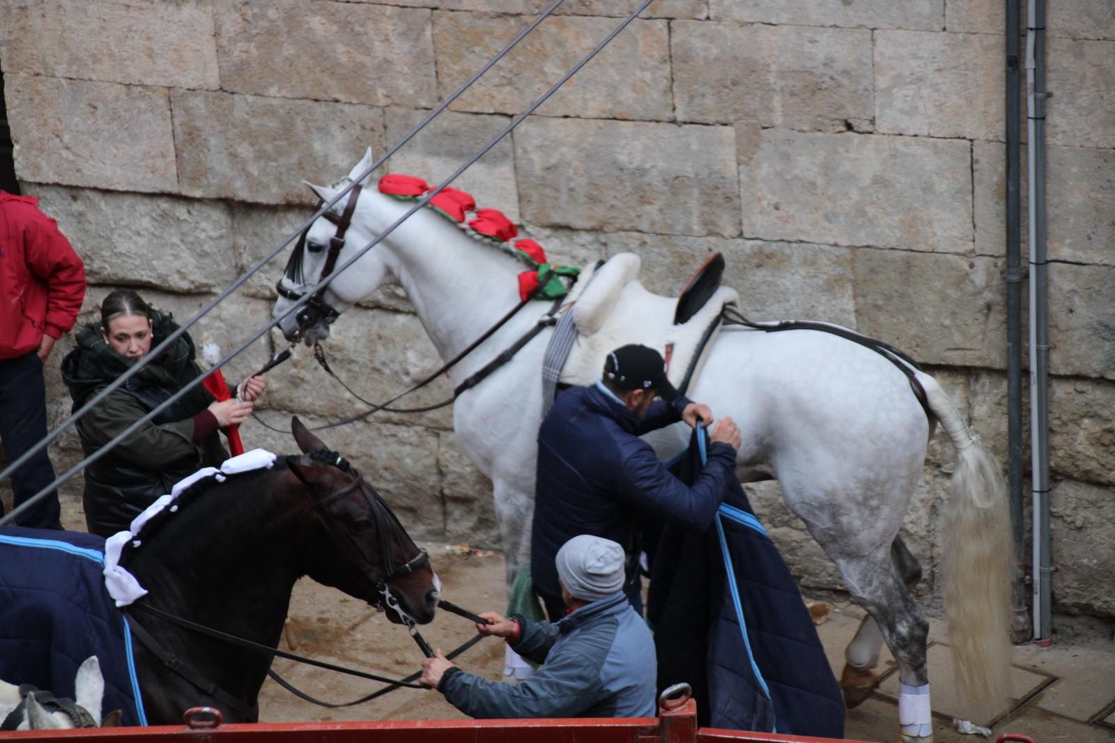 whatsapp-image-2025-03-02-at-18-55-57