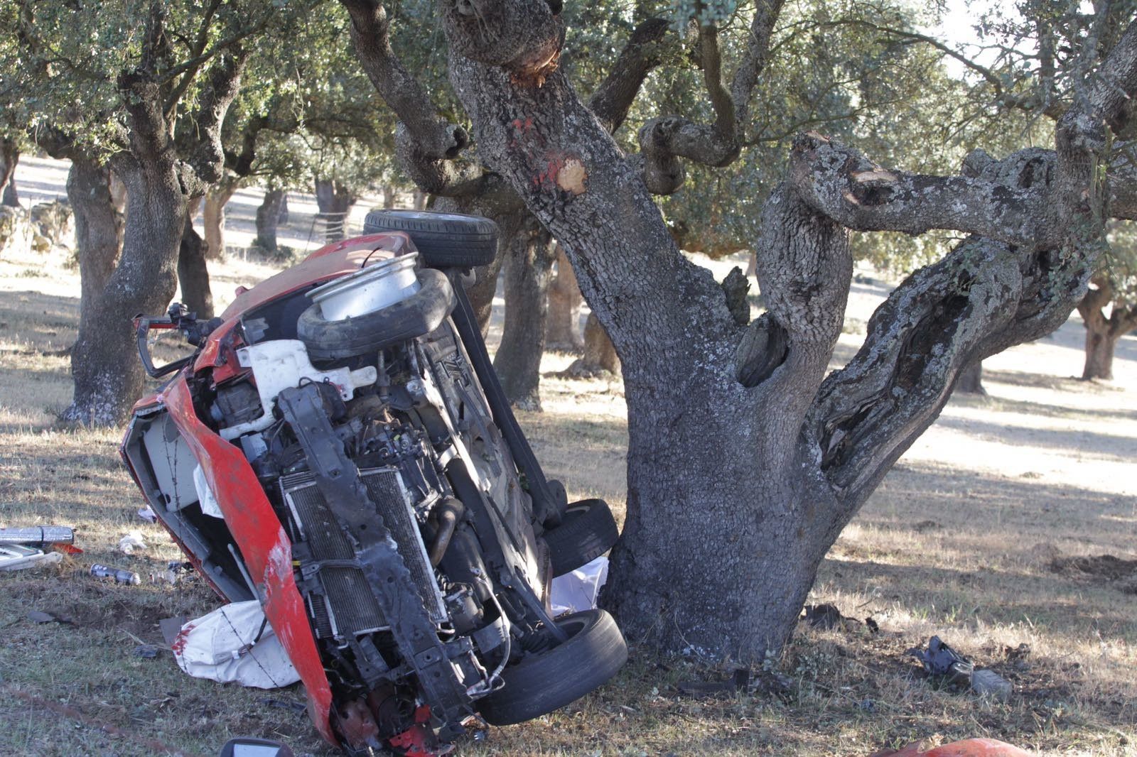 Accidente mortal junto a El Pinar de Alba