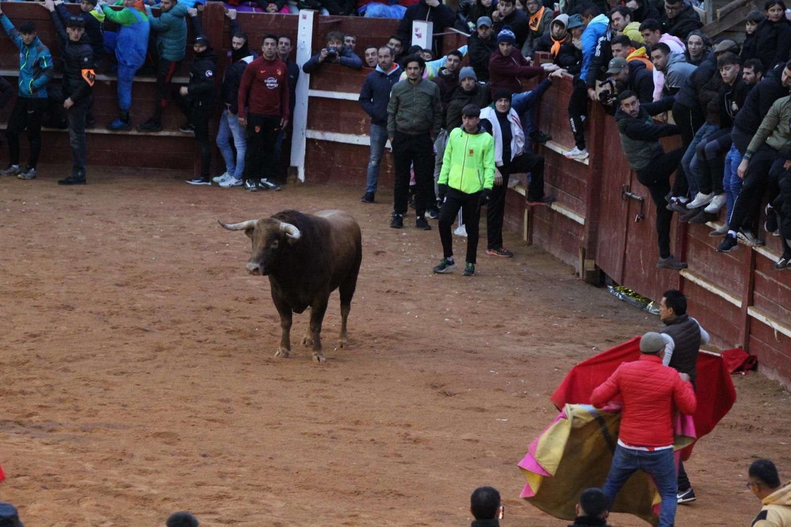 ambiente-y-capea-vespertina-sabado-de-carnaval-en-ciudad-rodrigo-2025-fotos-belen-hurtado-73