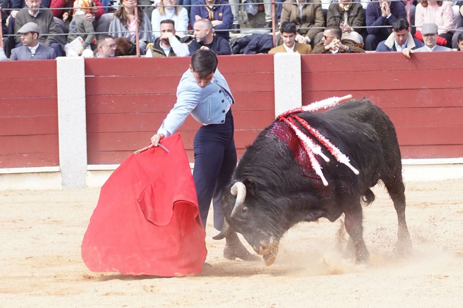 Festival taurino solidario por la esclerosis múltiple en Guijuelo