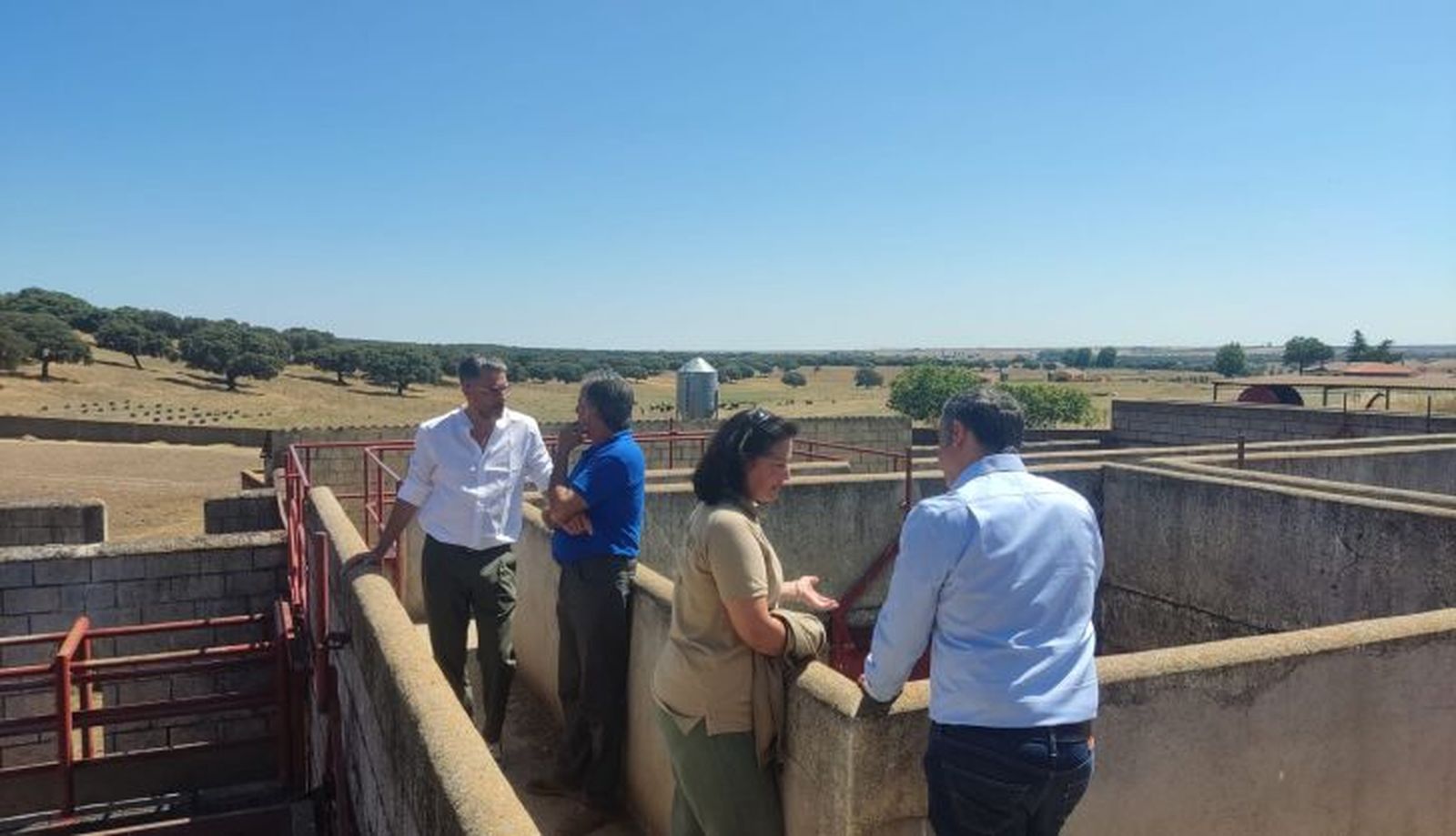 92a4d2d6 728c 40e6 97f7 f828339aa043