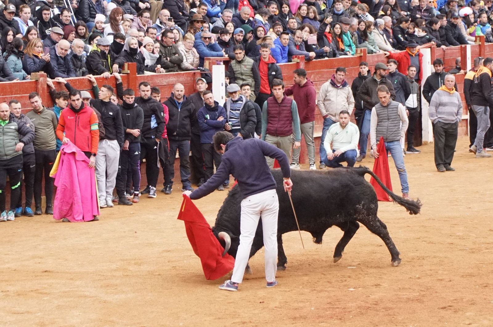 Destacados saltos, quiebros y toreo de capa en la capea del Lunes de Carnaval en Ciudad Rodrigo