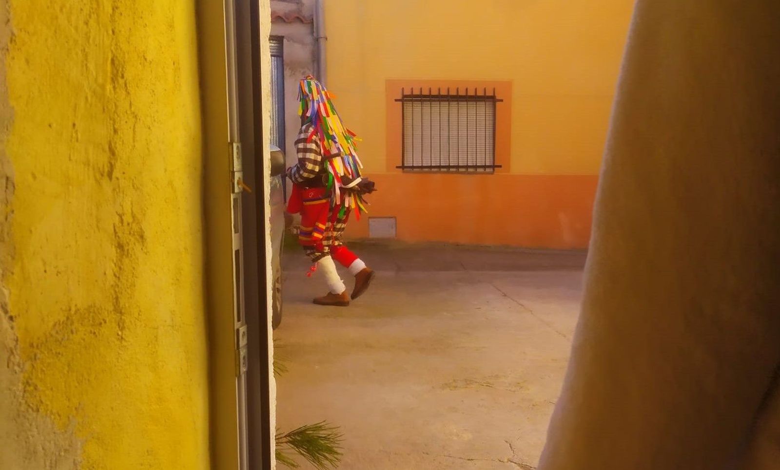 WhatsApp Image 2020 12 26 at 14.43.07