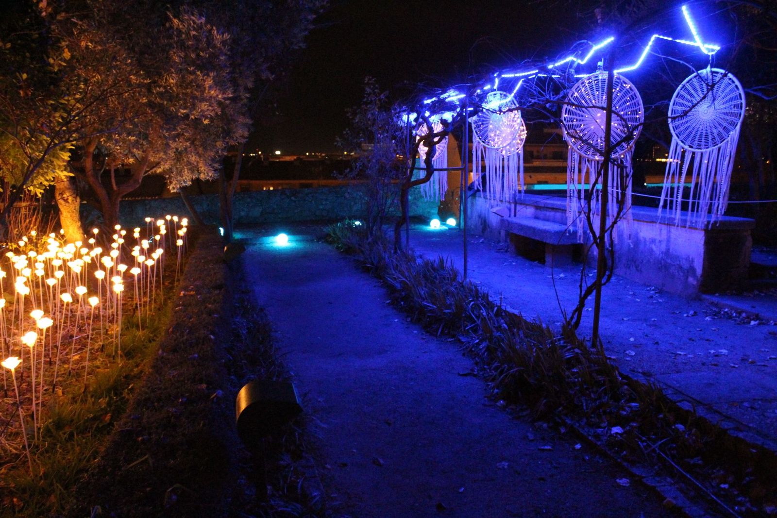 20231204213808-img-6444