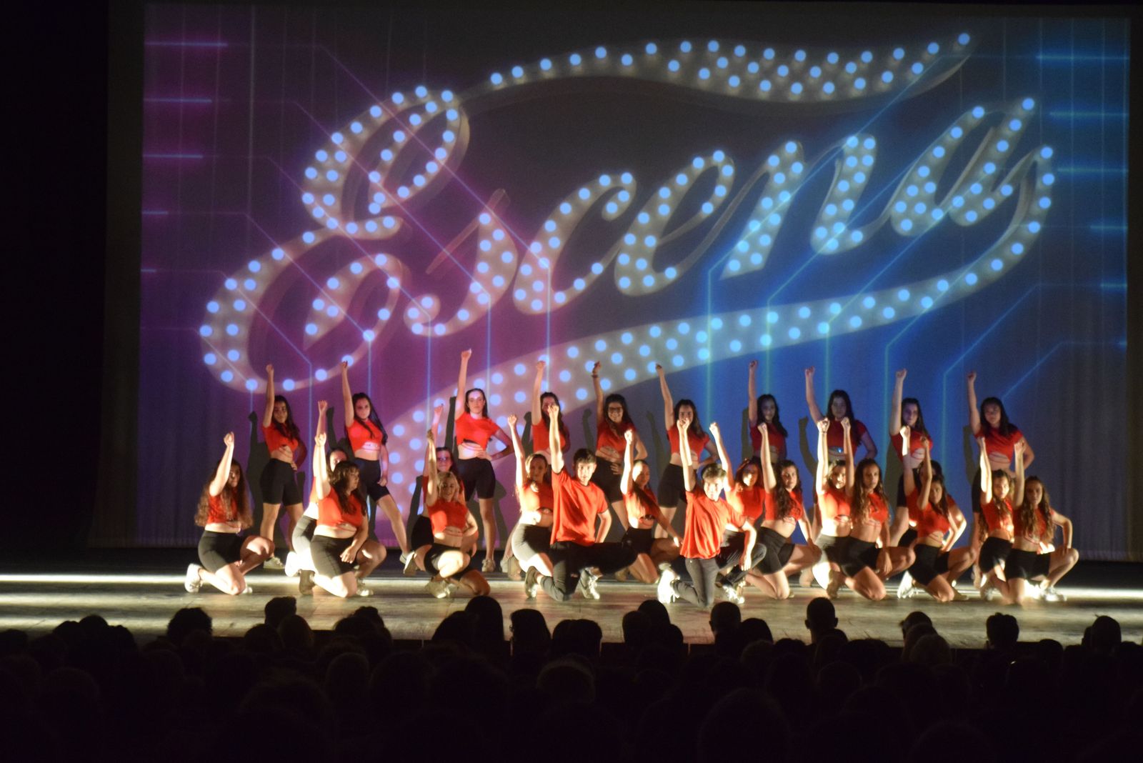 espectaculo-volver-de-escena-en-el-teatro-ramos-carrion-11