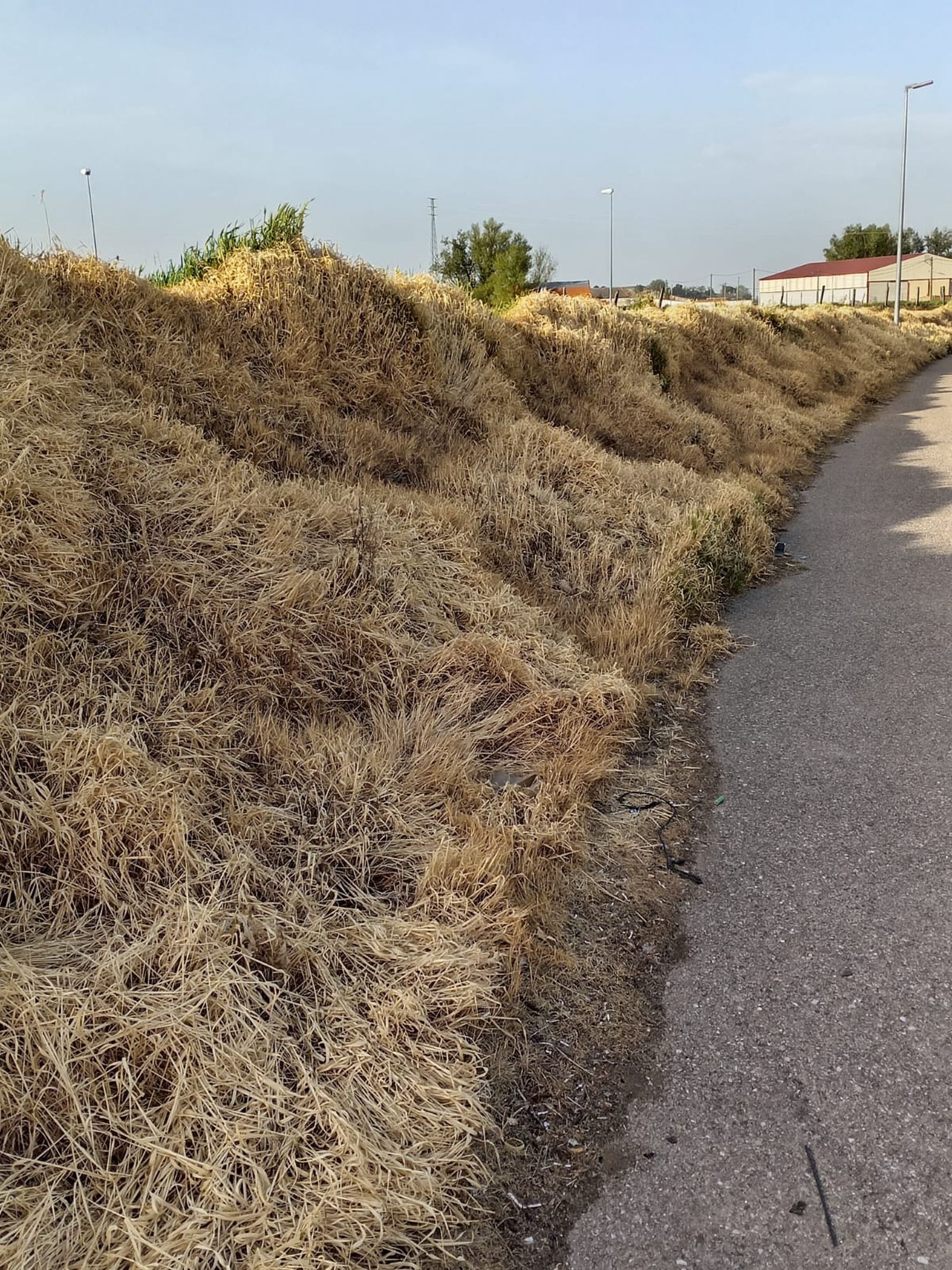 Zona tratada con herbicidas en Fuentesaúco