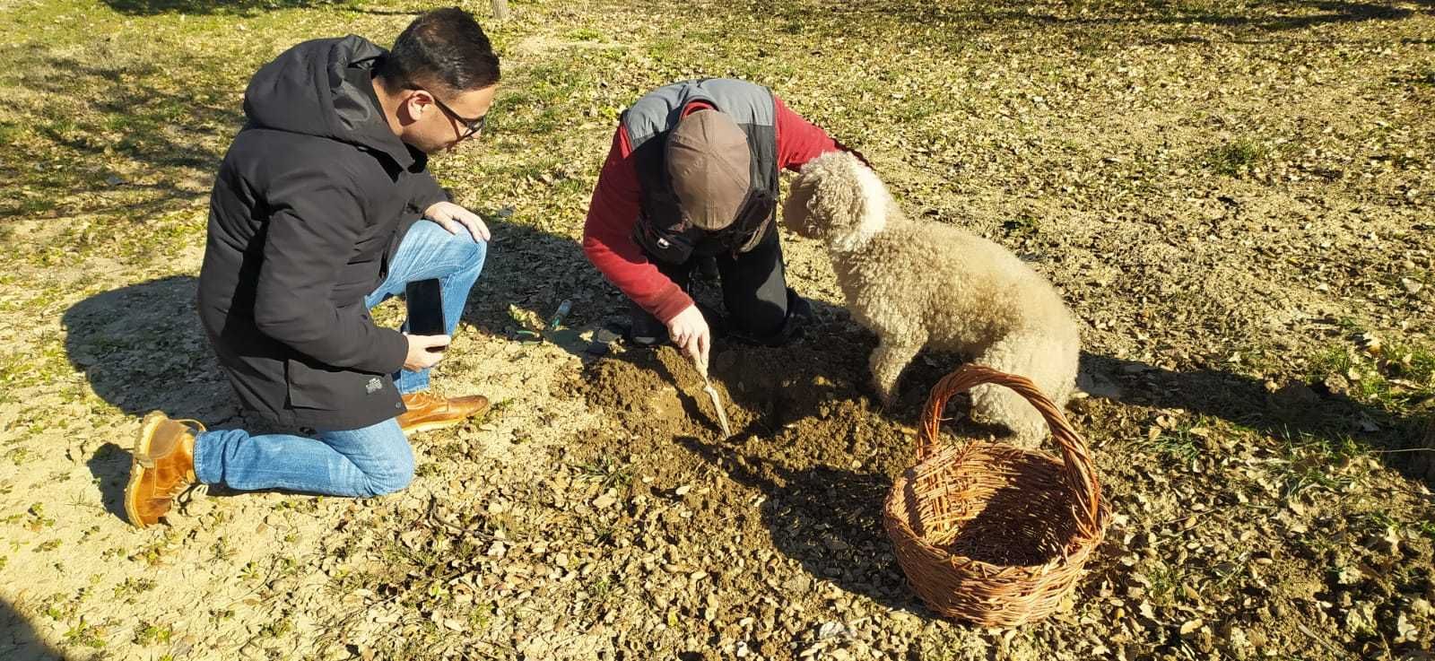 Trufa negra Diputación