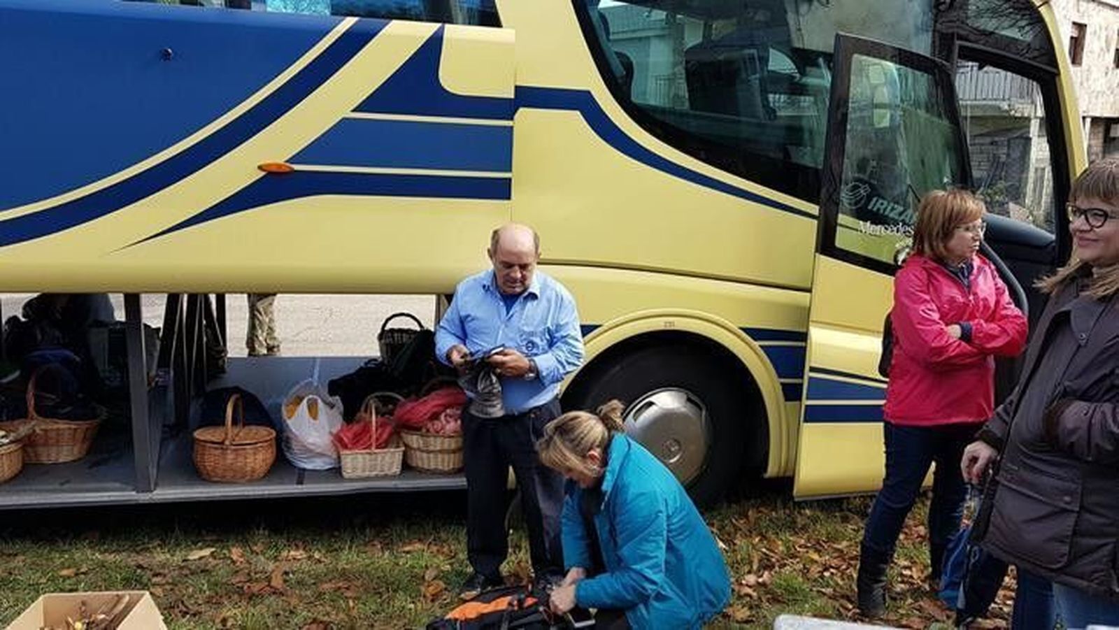 Amiza recoge los ejemplares de setas para la exposición que abre este domingo
