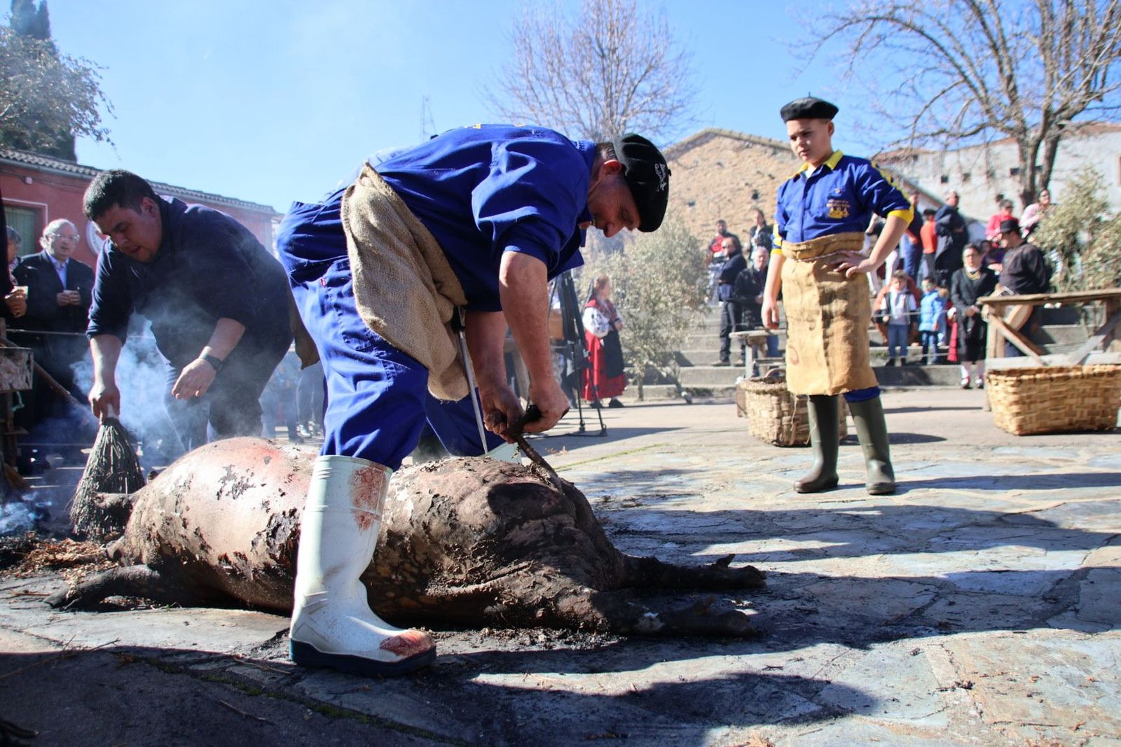 20240203132051-img-4472