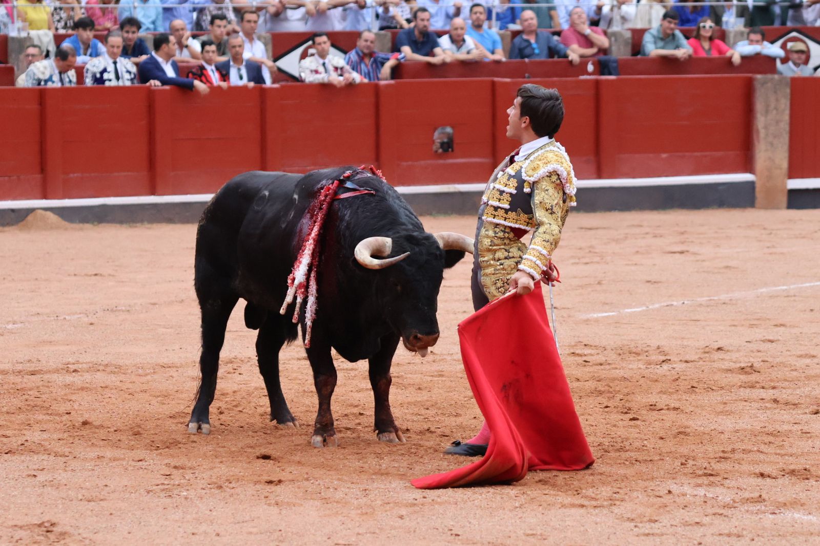 Ismael Martín, Marco Pérez y el aclamado regreso de Morante de la Puebla: su paso por La Glorieta en imágenes