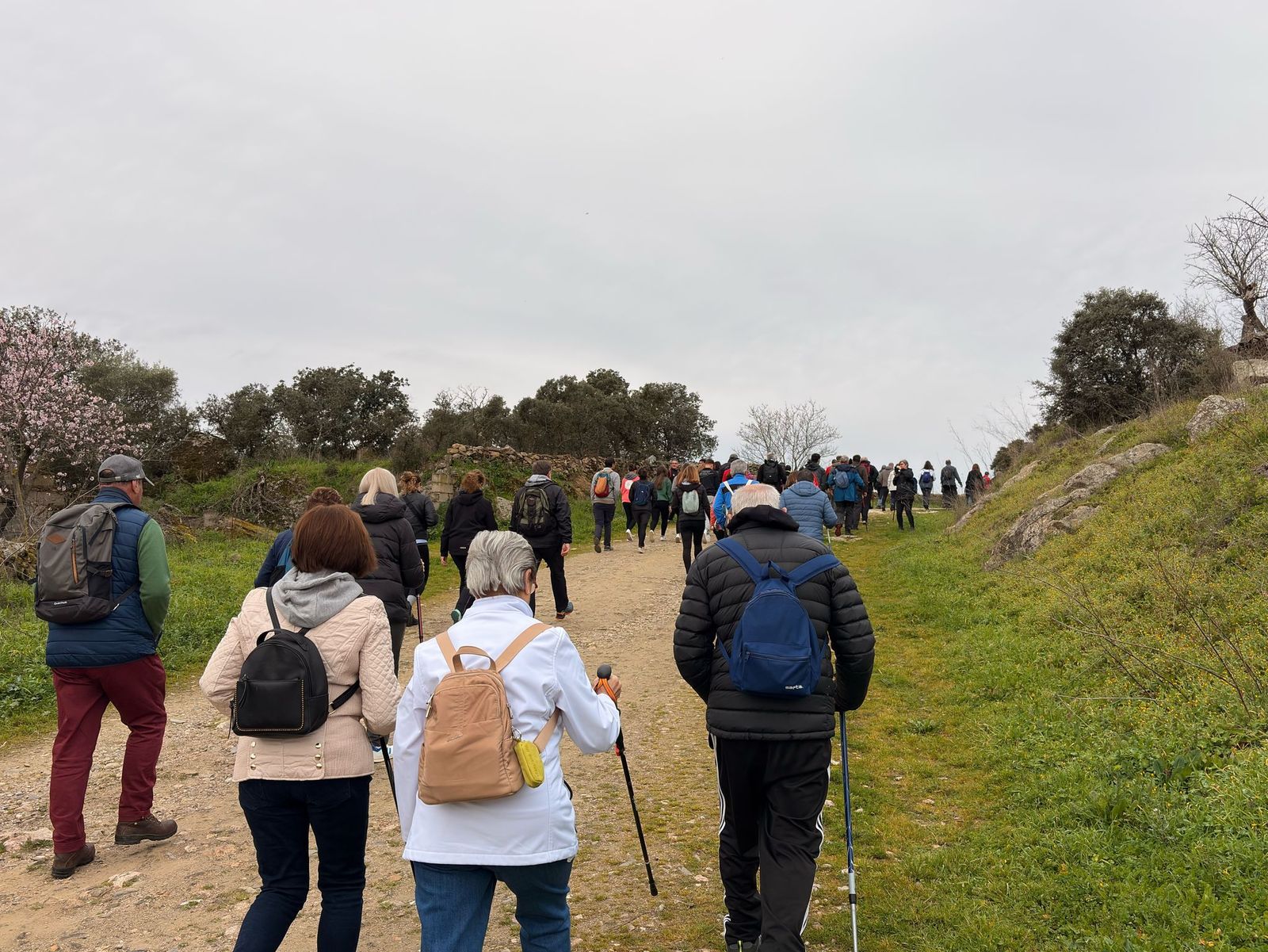 whatsapp-image-2025-02-15-at-11-09-35-1