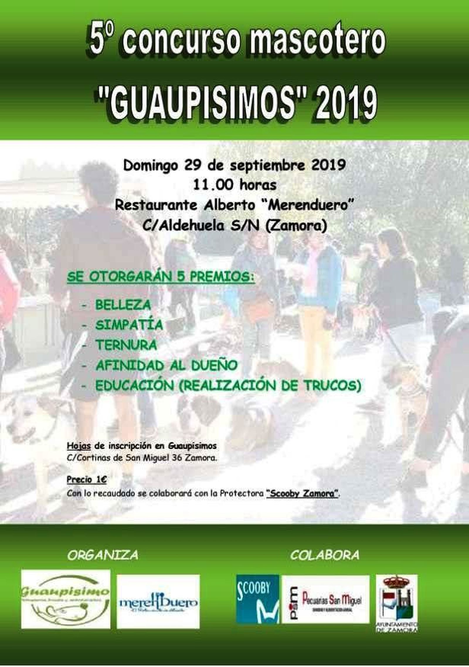 Cartel Guaupisimos 2019
