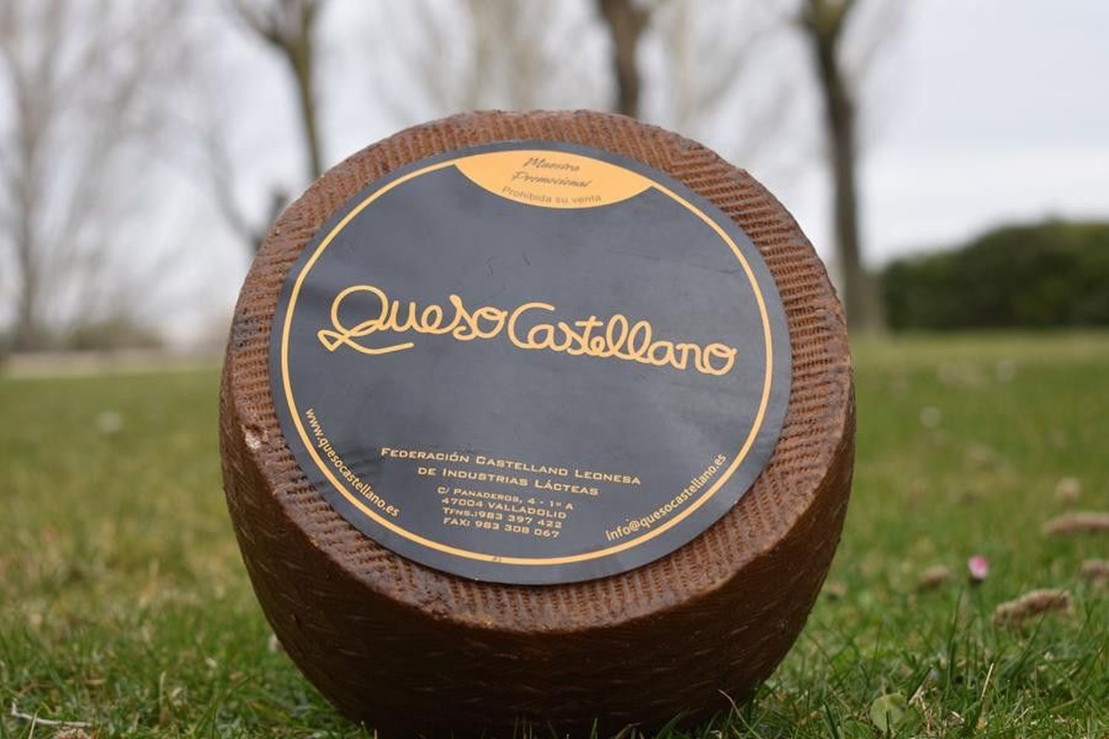 Queso castellano